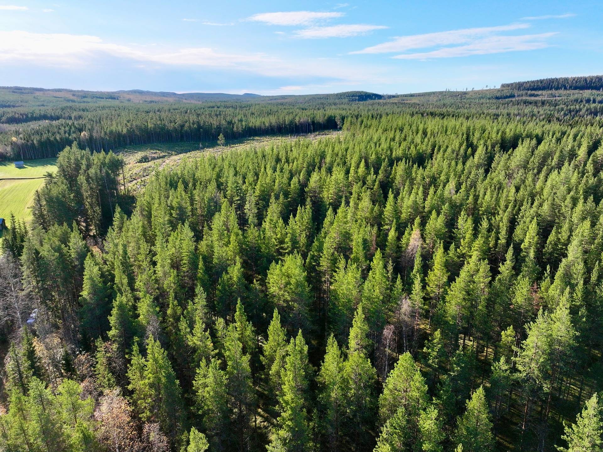 Gård/skog på Granön 4:6 Vindelns kommun - bild 10