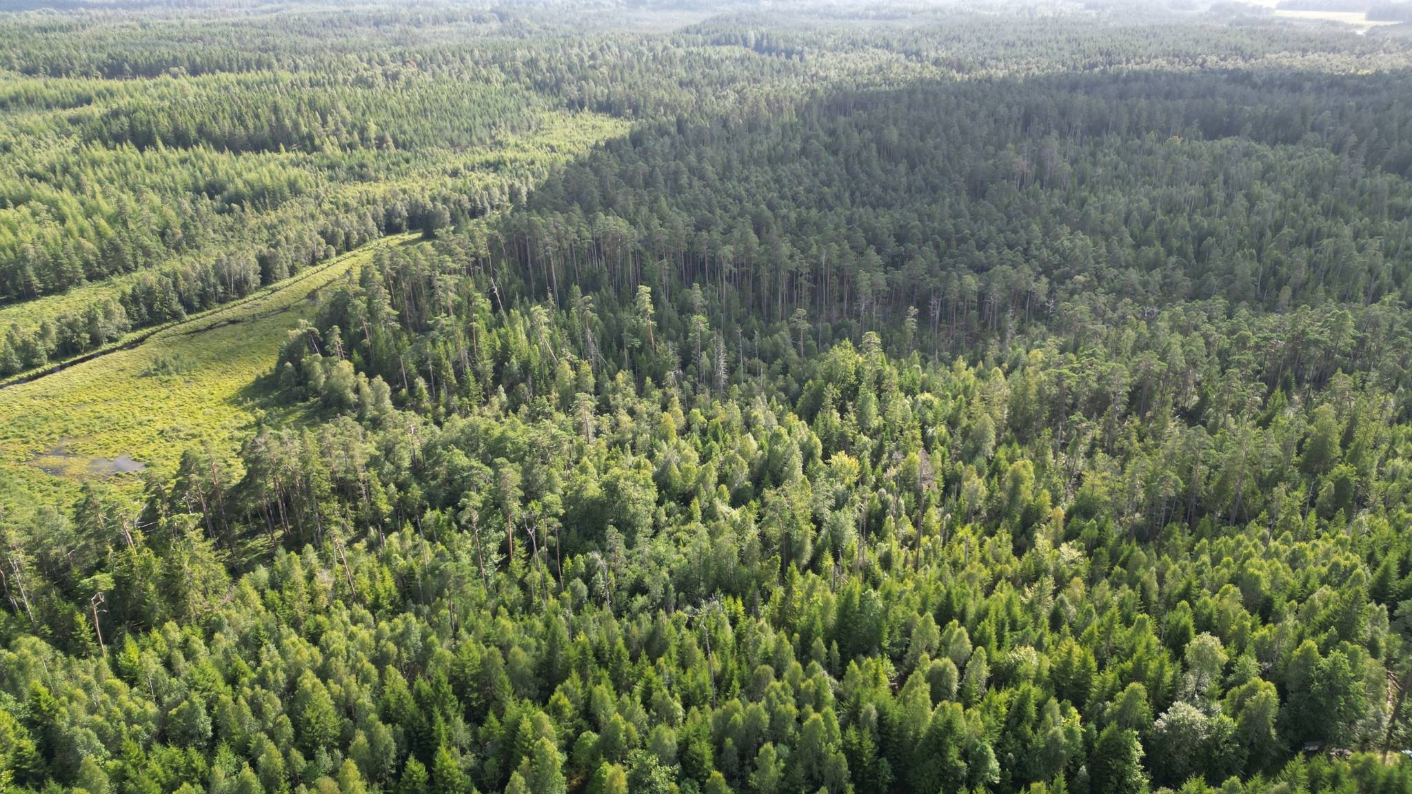 3 rum Fritidshus på Odensjö-Gårdshult 2 Ljungby kommun - bild 85
