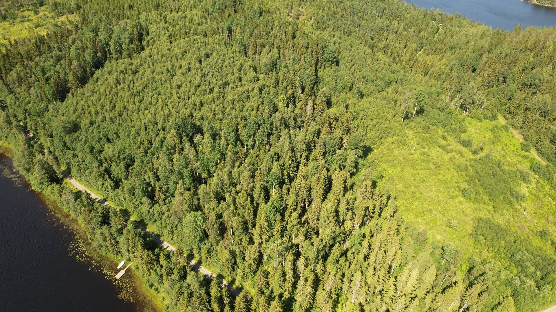 Gård med jordbruk på Nolås Sidensjö Örnsköldsviks kommun - bild 40
