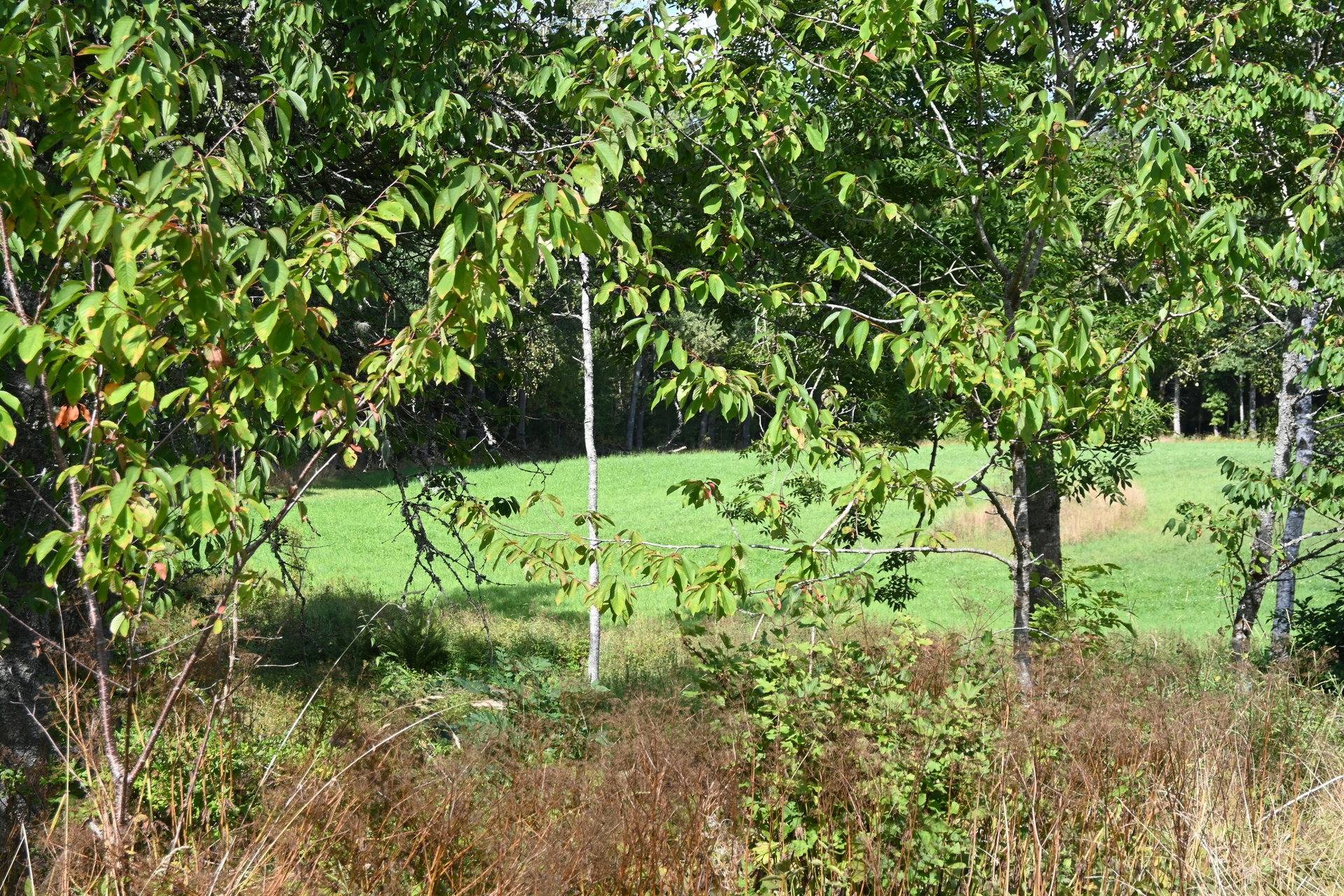 Gård med jordbruk på Karryd Norregård 2 Karryd Växjö kommun - bild 10