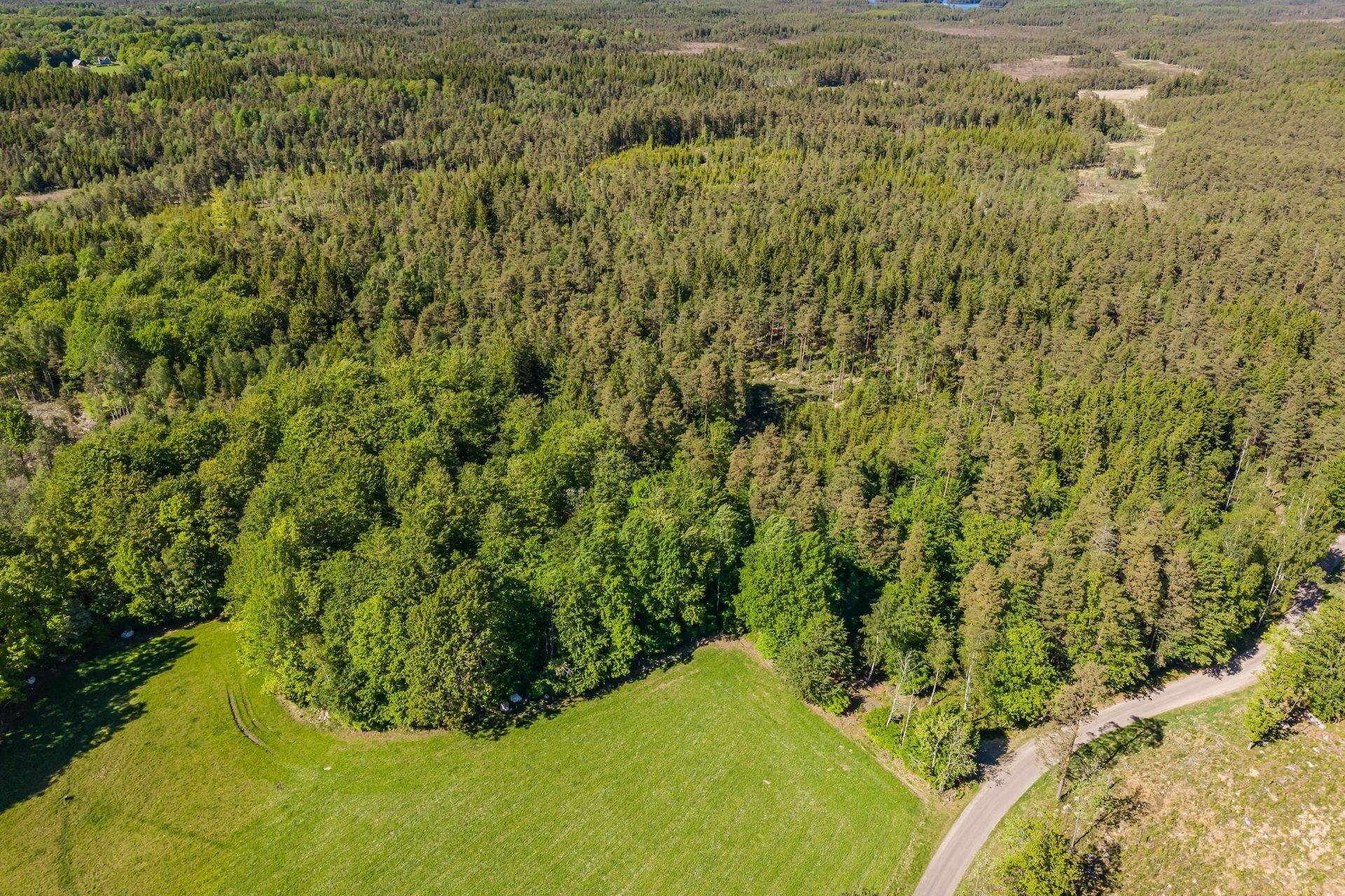 Gård/skog Lidhult Ljungby kommun - bild 8