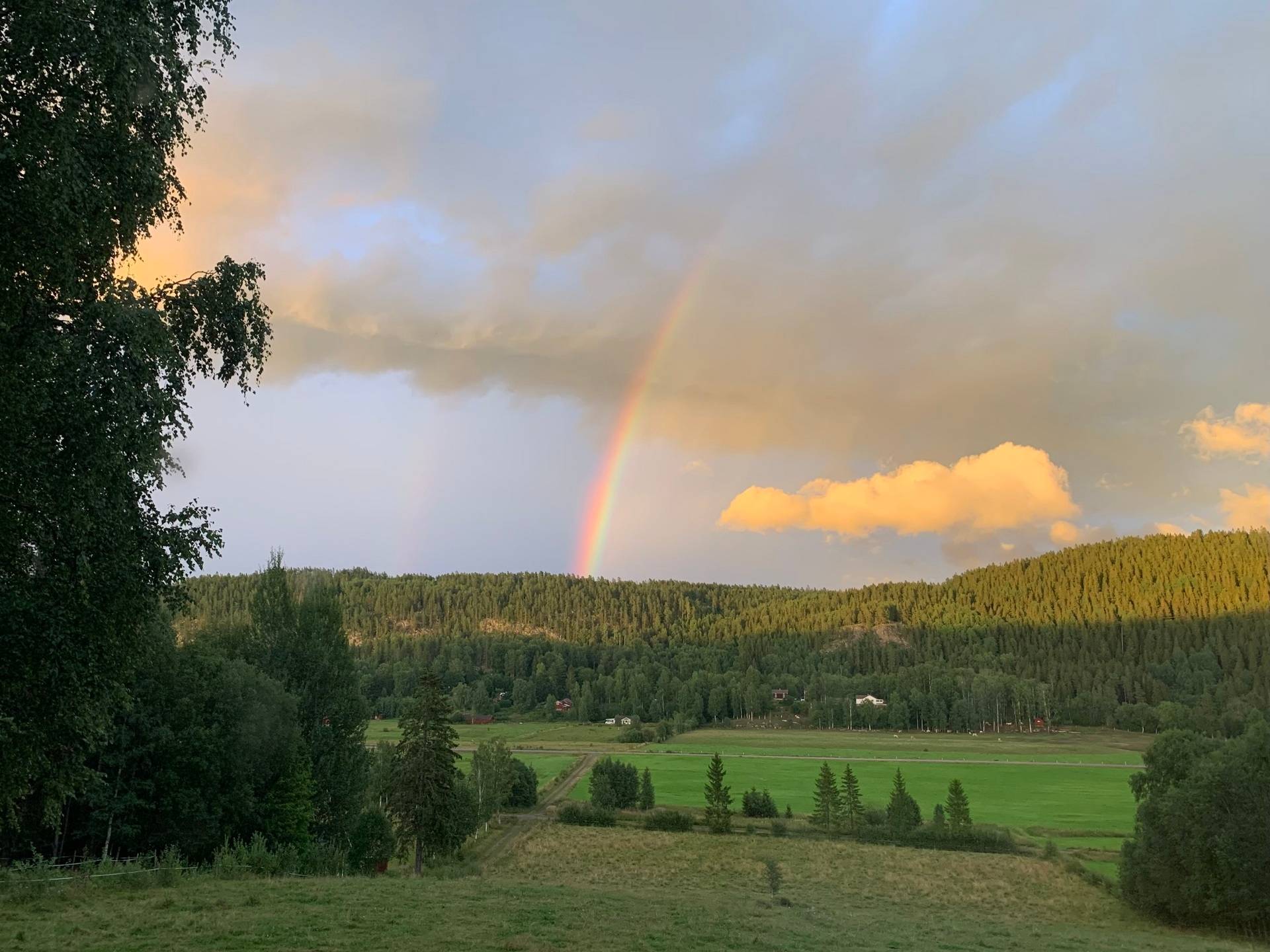 2 rum Villa på Söpple Övre gardsjö 1 Eda Eda kommun - bild 38