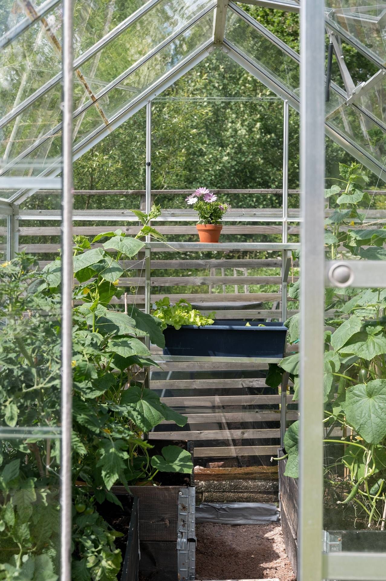2 rum Fritidshus på Galtås 4 Tranås Tranås kommun - bild 47