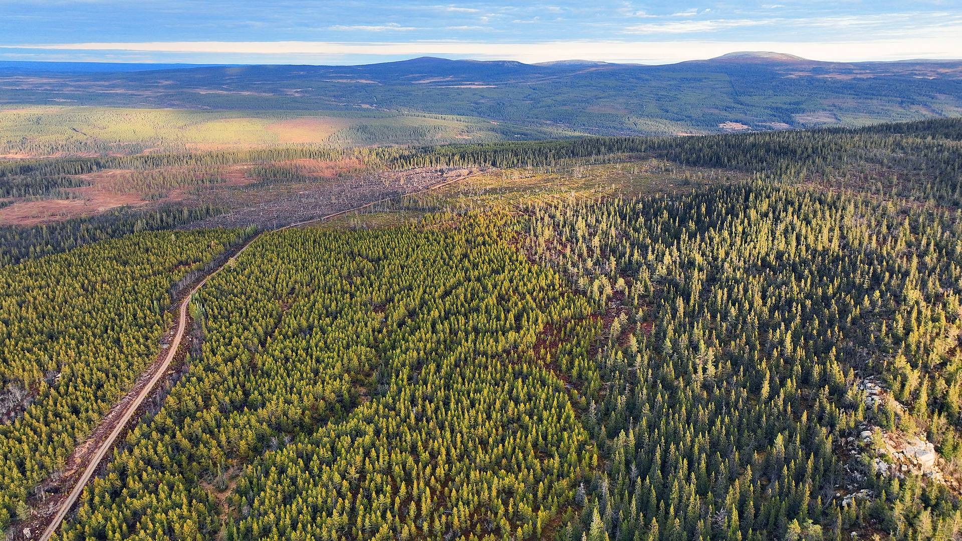 Gård med skogsbruk på HÄRJEDALEN VEMDALENS KYRKBY 20:5 Vemdalen Härjedalens kommun - bild 6