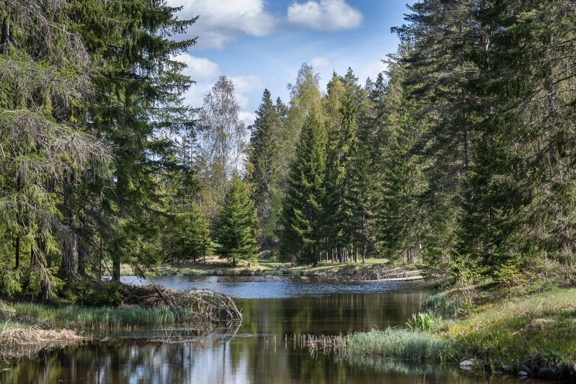 140 m² Gård med jordbruk på Apeltorp Nynäshamns kommun - bild 13