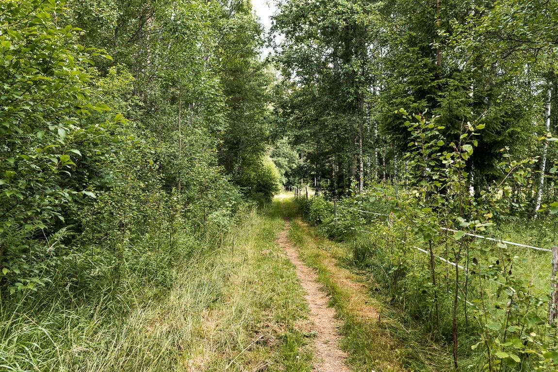 4 rum Villa på Lyckovägen 12 Nygårdarna Borlänge kommun - bild 32