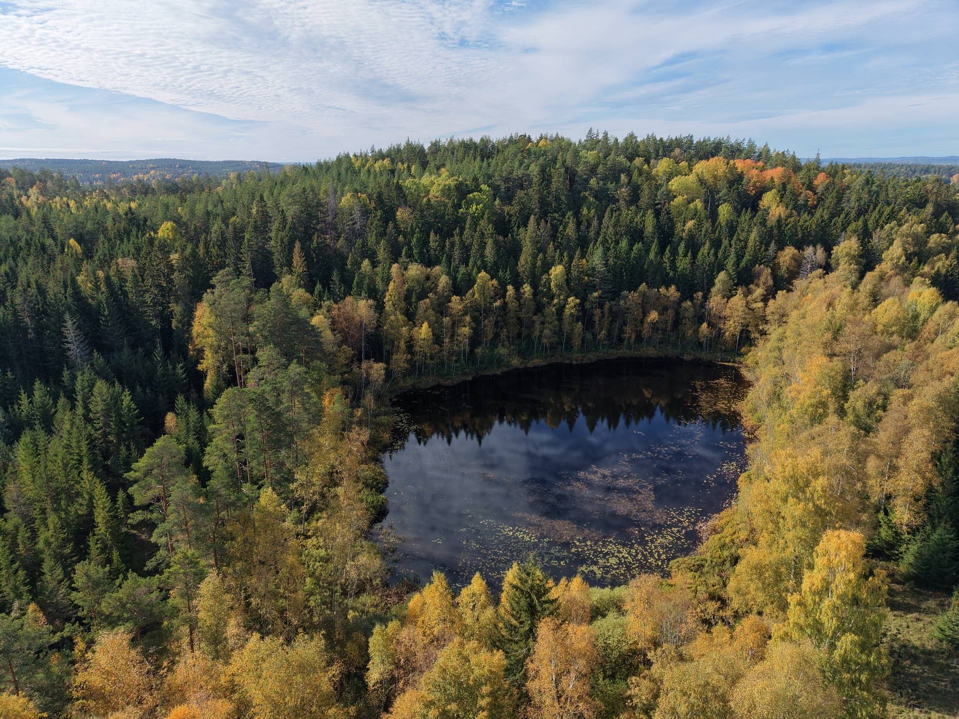 Gård med jordbruk på Vallingedal Nedergård Vallingedal Kinda kommun - bild 32