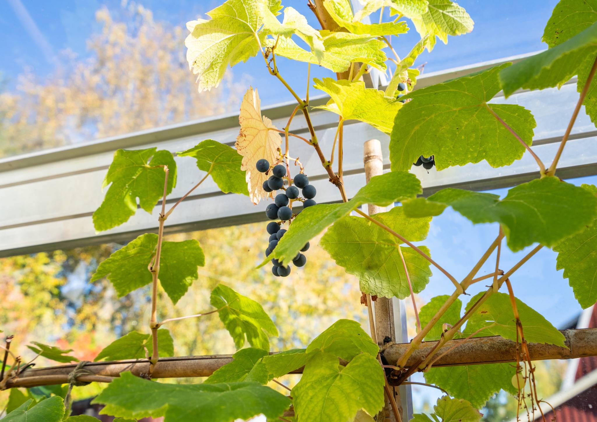 5 rum Villa på Skogsvägen 11 Järbo Sandvikens kommun - bild 29
