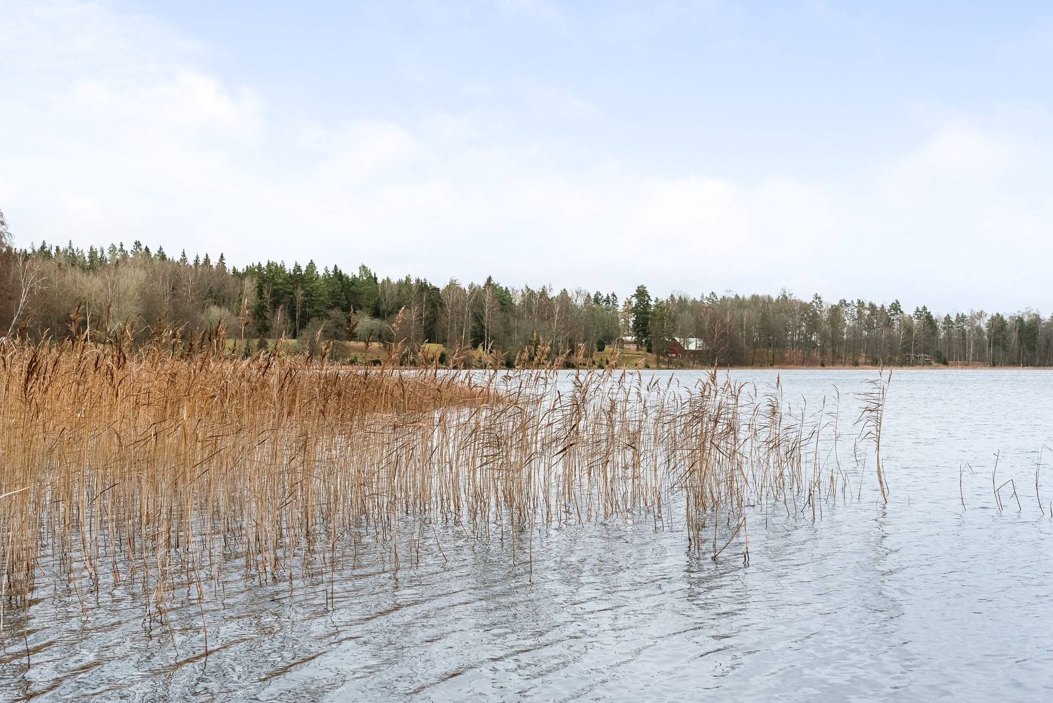 3 rum Fritidshus på Kalvshult Svensborg 1 Kvarnarp Tranås kommun - bild 35