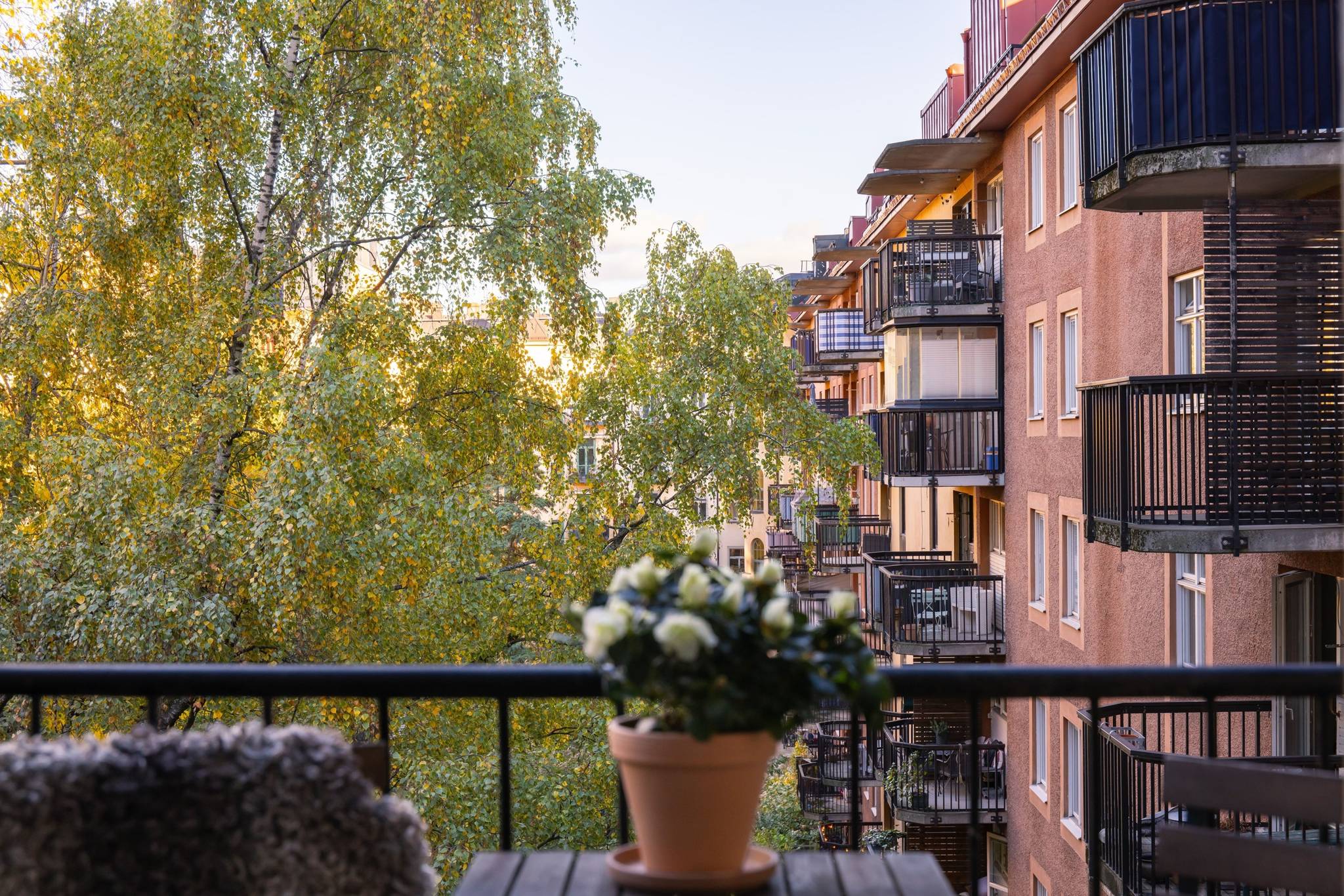 2 rum Lägenhet på Torkel Knutssonsgatan 31 Mariatorget Stockholms kommun - bild 30