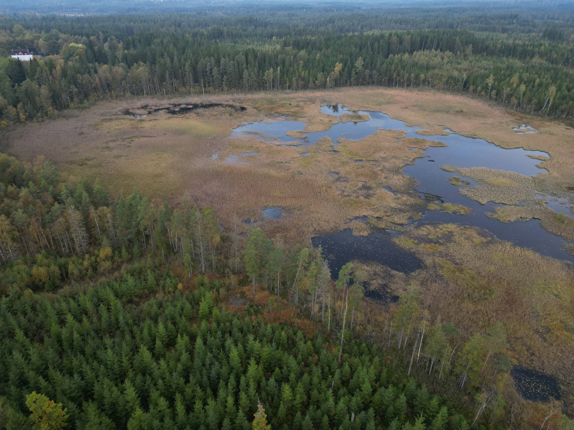 Gård med jordbruk på Yttrebo 107 Hylte kommun - bild 29