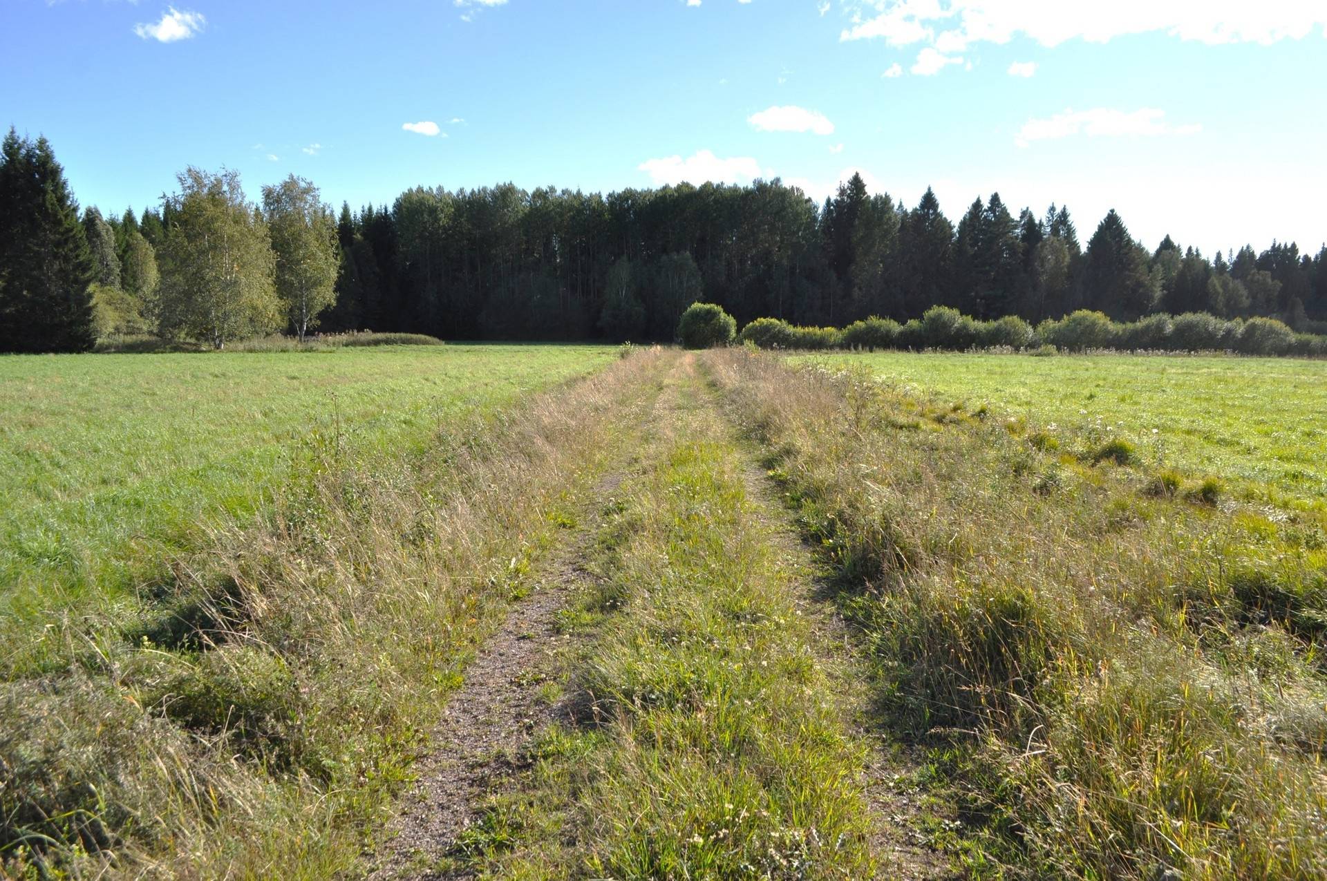 Gård med skogsbruk på Uppsala Götbrunna 4:1 Götbrunna Uppsala kommun - bild 8