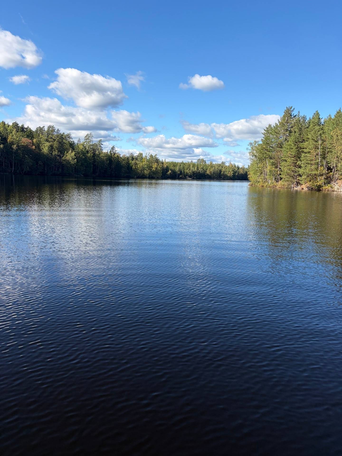 4 rum Gård/skog på Stormandebo Koltorp Västervik/Vimmerby Västerviks kommun - bild 51