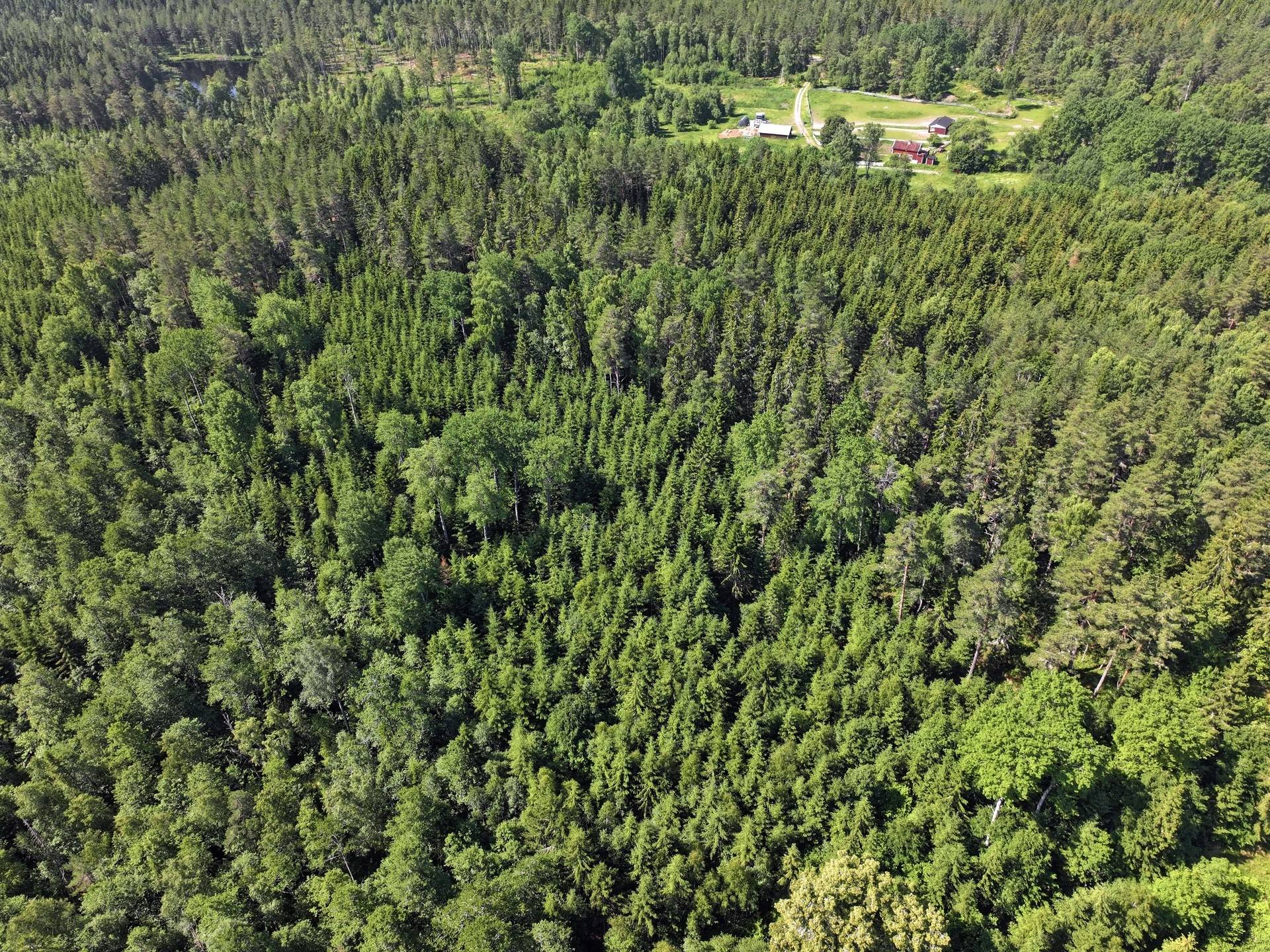 Gård/skog på Trehörna Fågeltorp 1 Ödeshögs kommun - bild 11