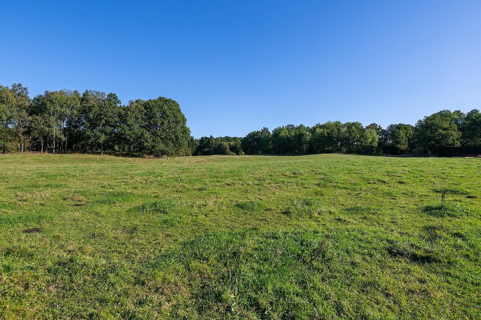 Gård/skog på Bosjöholm Åsljunga Örkelljunga kommun - bild 16