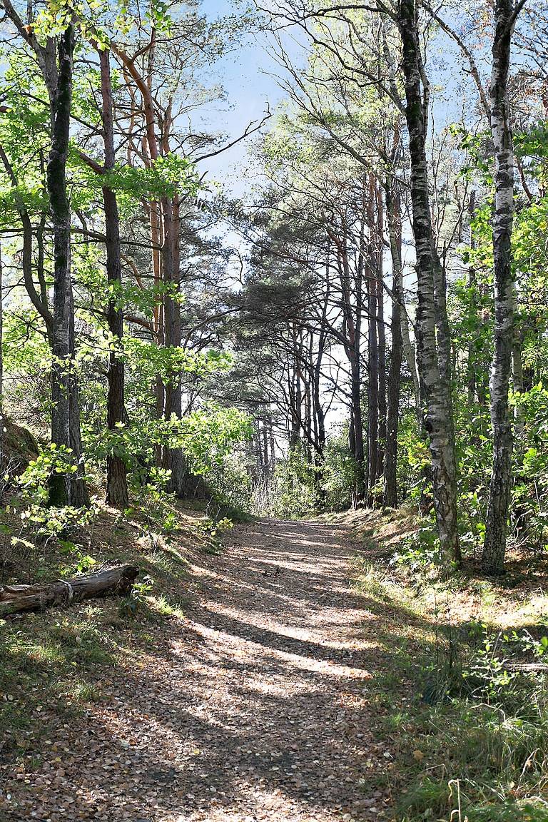 3 rum Villa på Svindalsvägen 75 Billdal Göteborgs kommun - bild 70