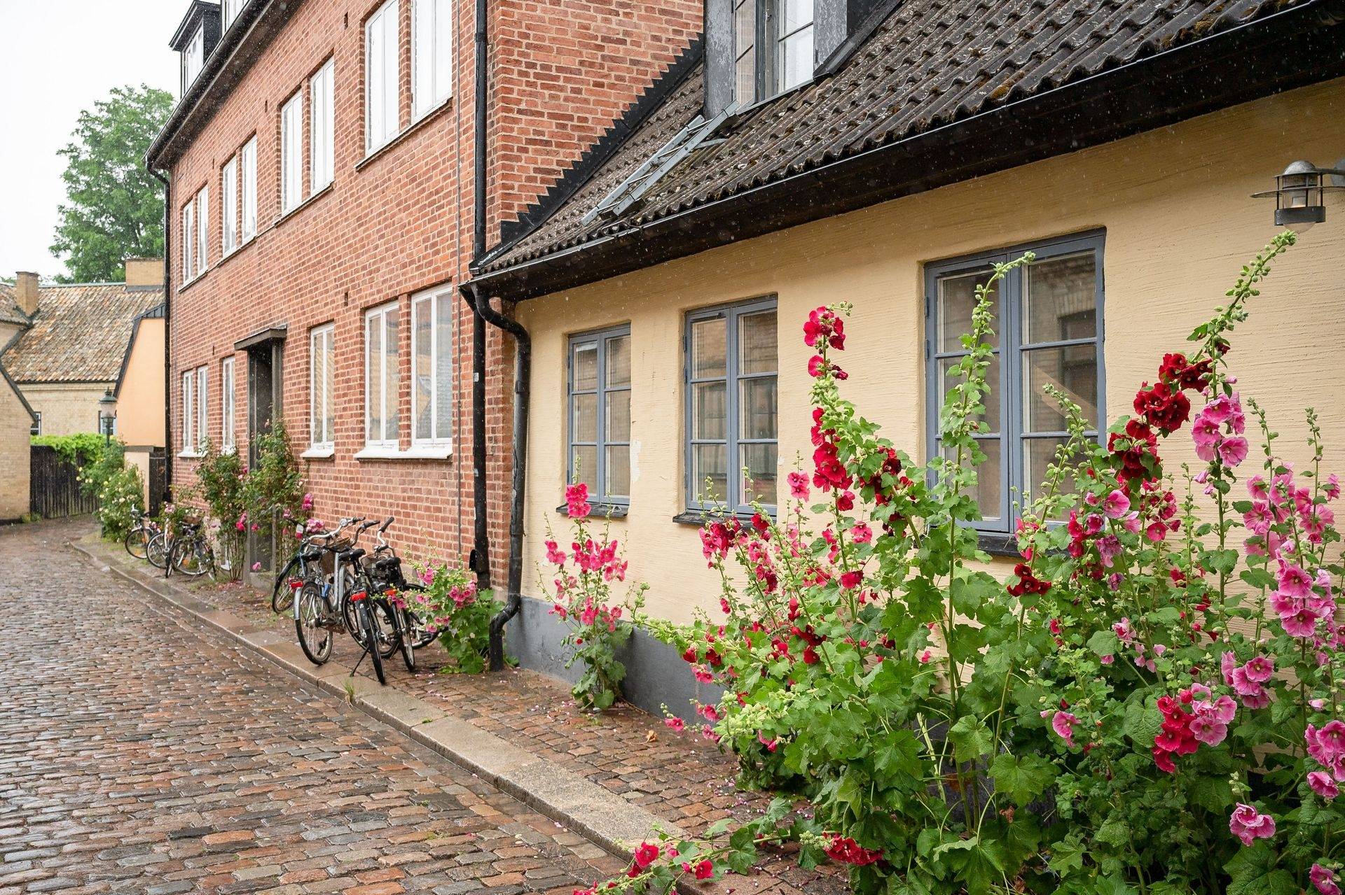 1 rum Lägenhet på Lilla Tomegatan 6 Centrala Lund Lunds kommun - bild 14