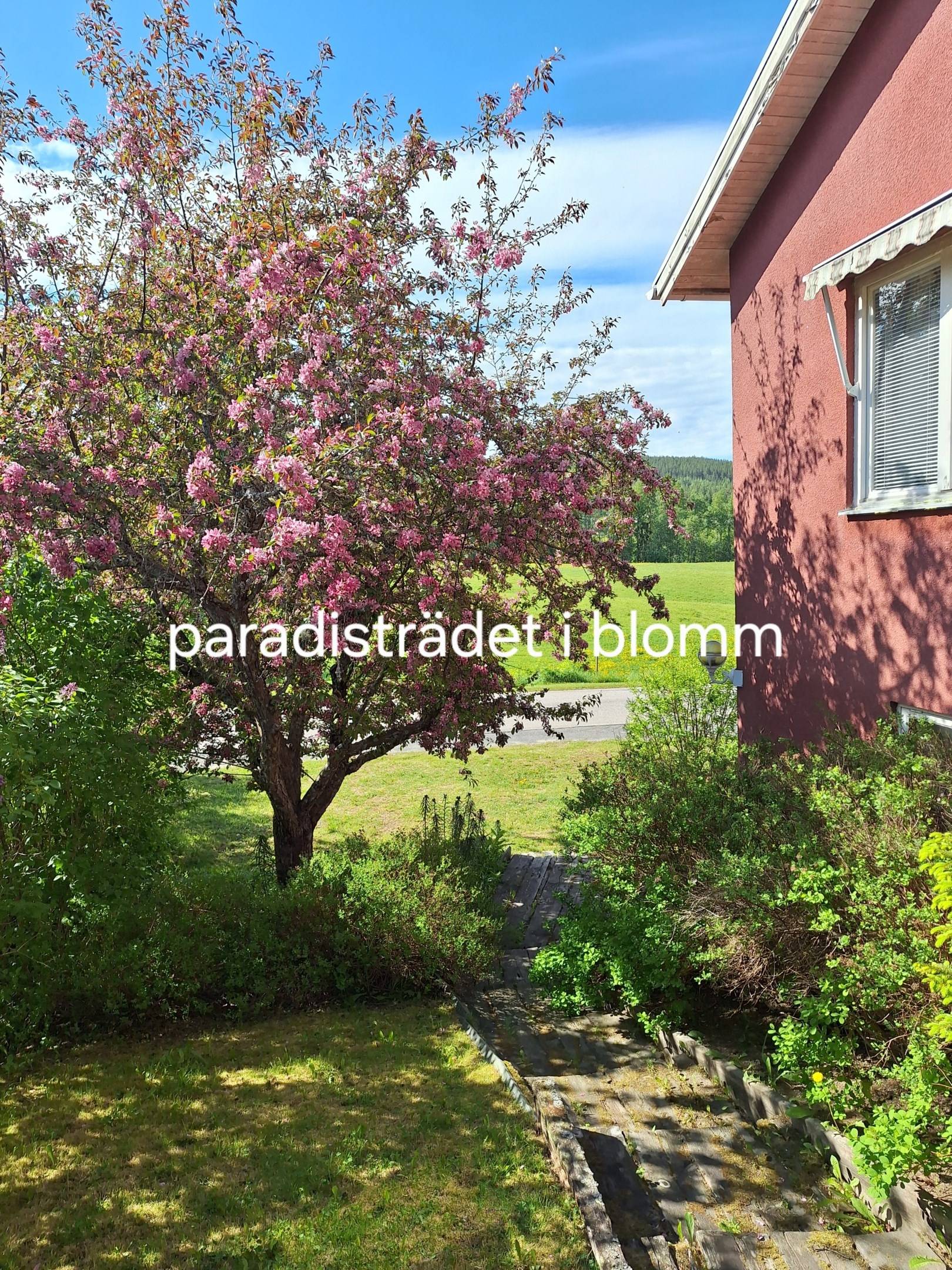 4 rum Villa på Movägen 10 Färila, Föne Ljusdals kommun - bild 40