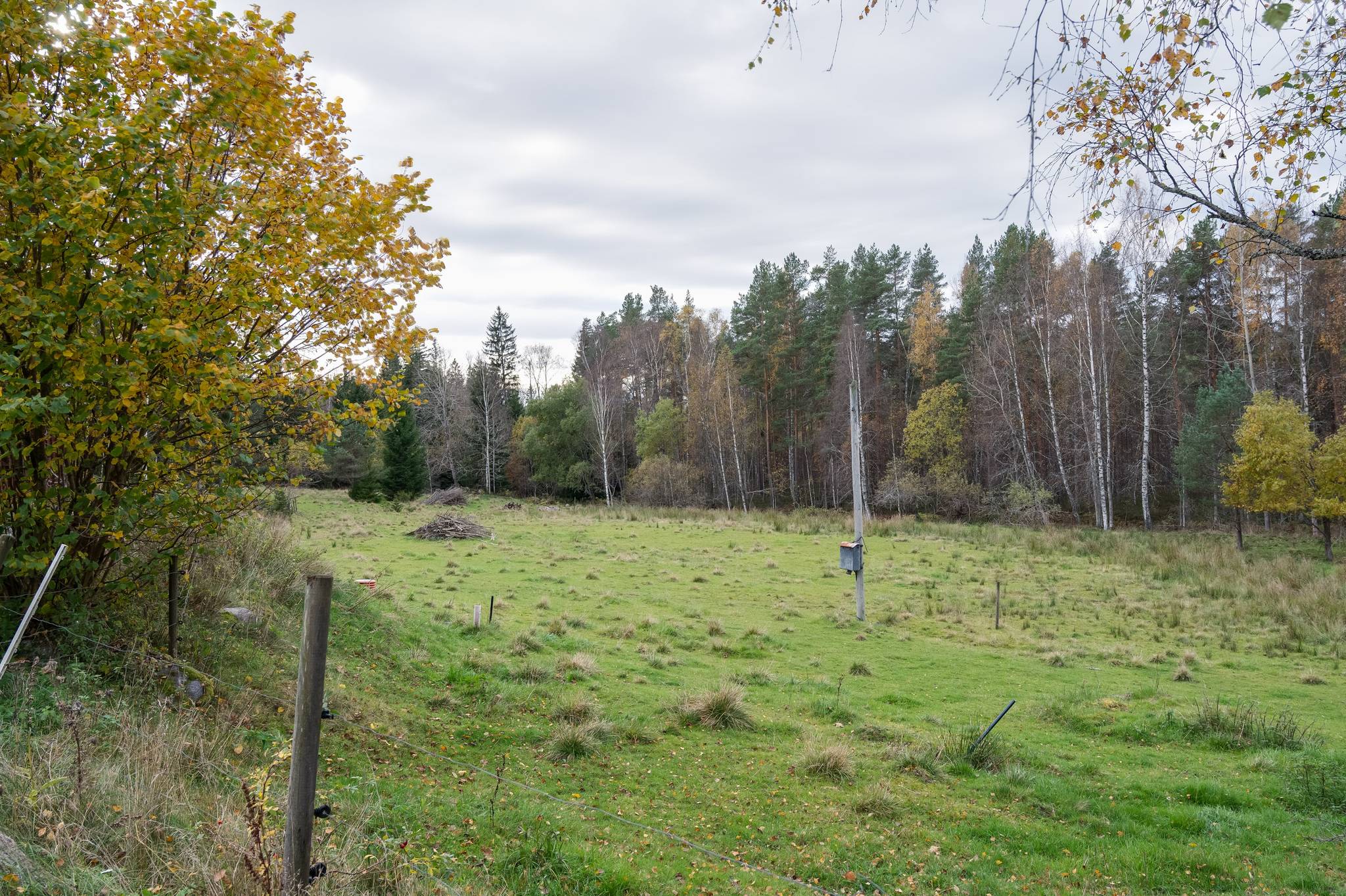 5 rum Gård med jordbruk på Blixterboda Hälltorp 382 Blixterboda Lindesbergs kommun - bild 13