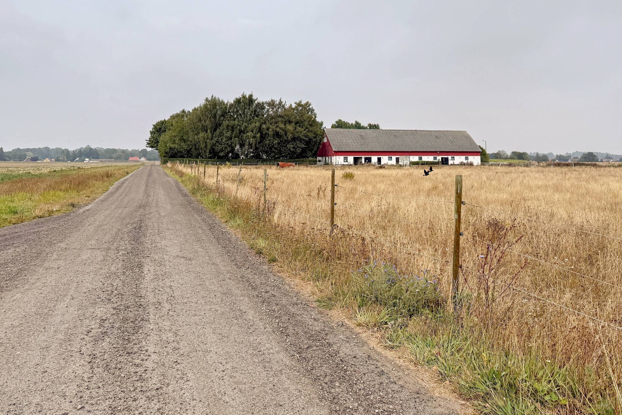 10 rum Gård/skog på Bostället i Stora Herrestad, Mensalvägen 109 Stora Herrestad Ystads kommun - bild 2