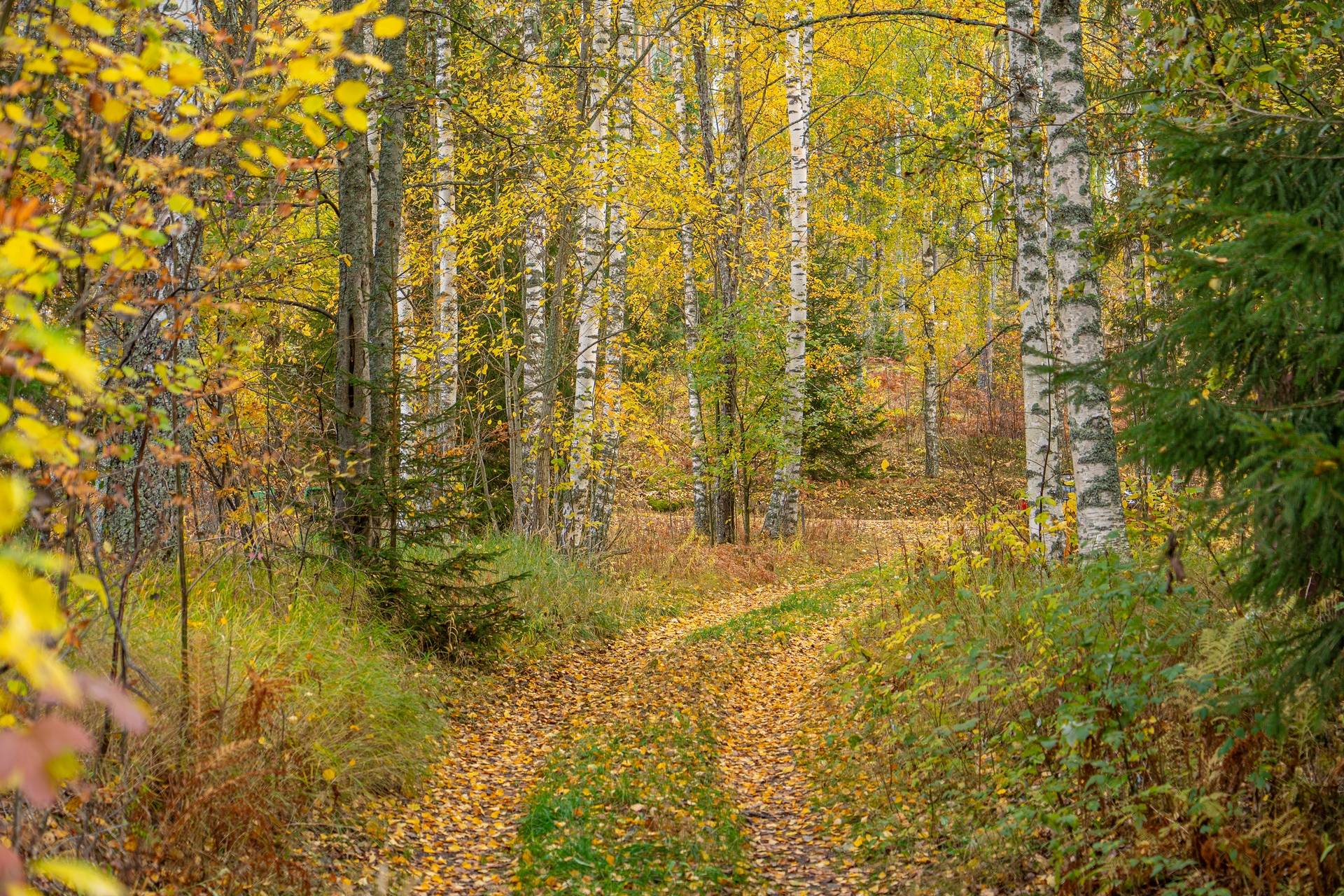 gård med jordbruk på Edet Deje, Forshaga kommun - bild 3