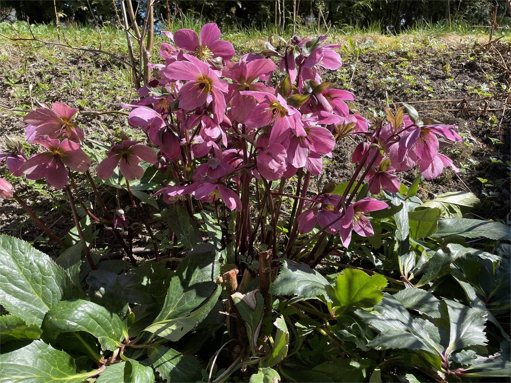 7 rum Villa på Rundvägen 17 Kvisthamra Norrtälje kommun - bild 29