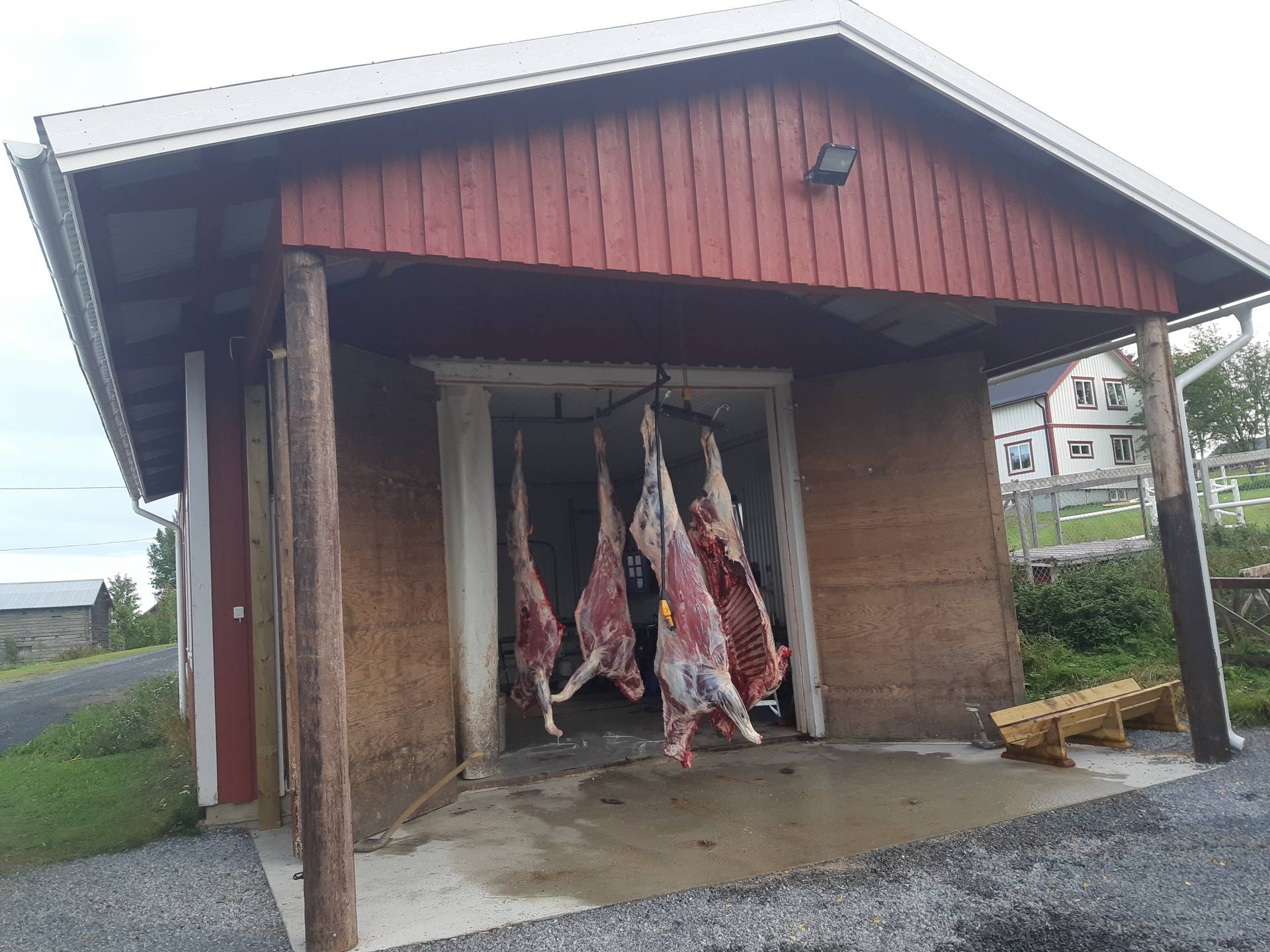 Gård med jordbruk på Högenvägen 29 Hallen Åre kommun - bild 44