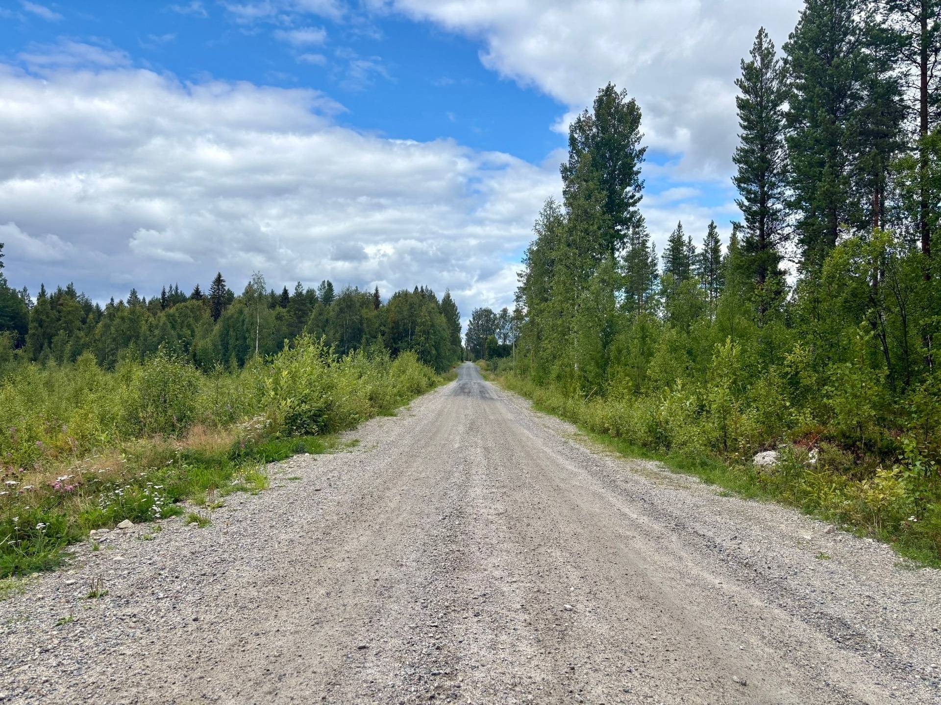 Gård/skog på Vormträsk 2:9 Lycksele kommun - bild 8