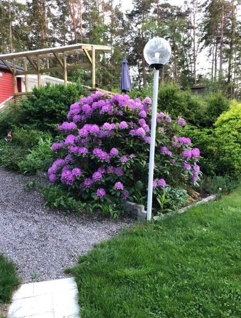 2 rum Vinterbonat fritidshus på Solgårdsvägen 24 Strängnäs kommun - bild 32