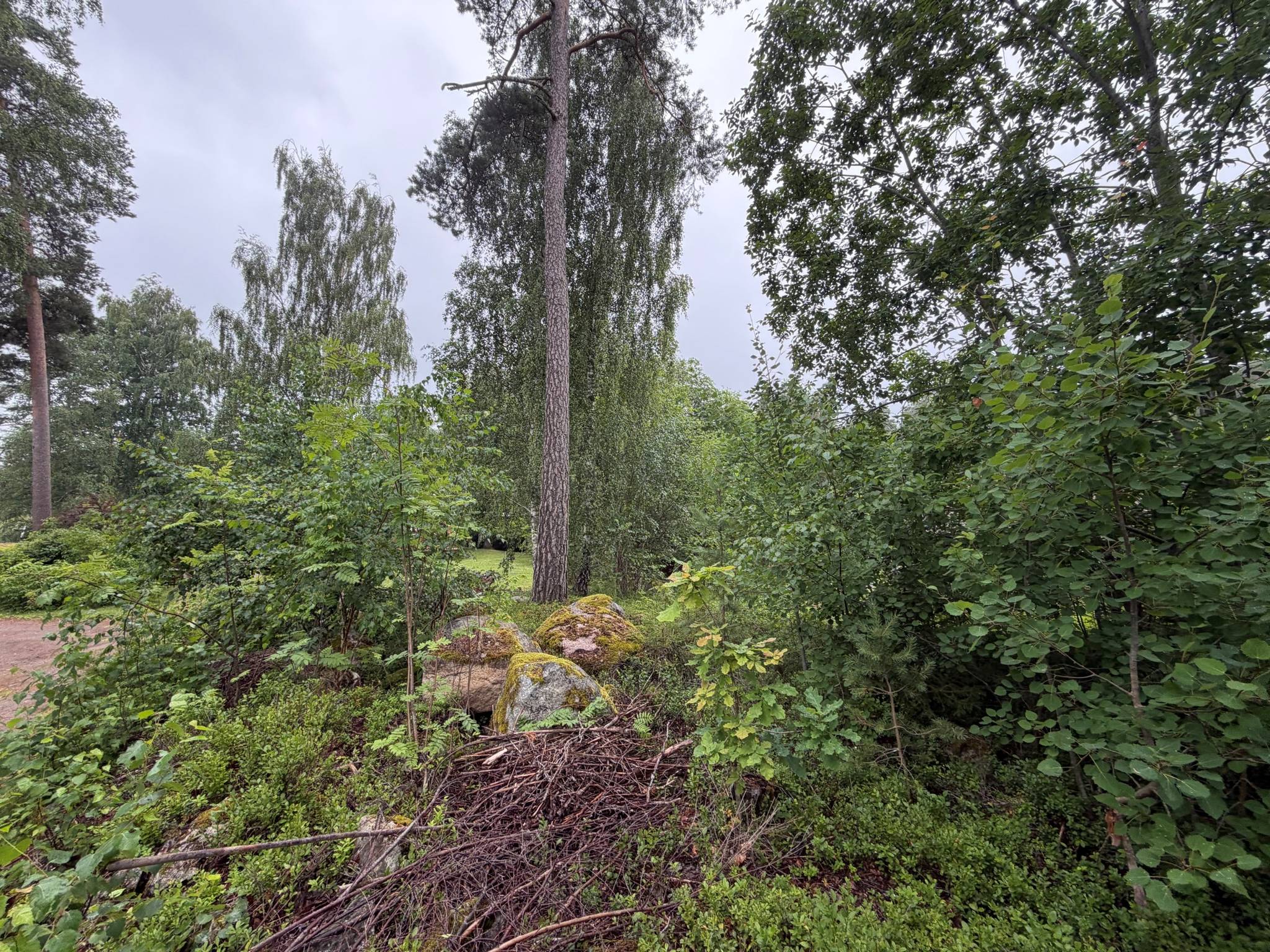 Tomt på Sala Stadsskogen 2:236 Olov Jons Sala kommun - bild 6