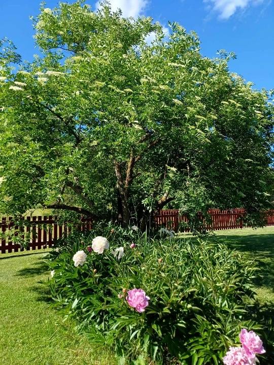 4 rum Villa på Bygatan 12 Säters kommun - bild 28