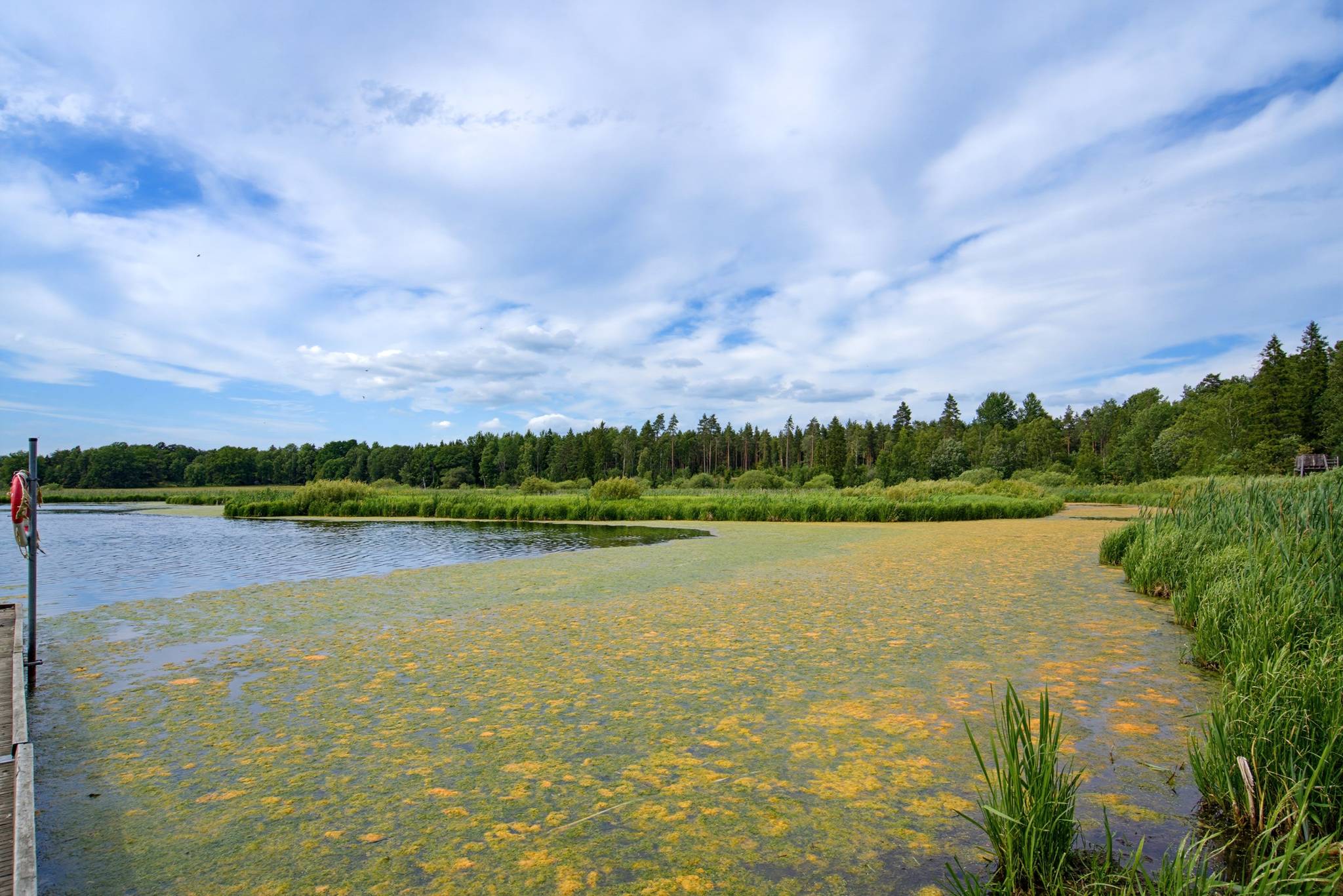 6 rum Villa på Mullvadsvägen 46 Ytternäs och Vreta Uppsala kommun - bild 56