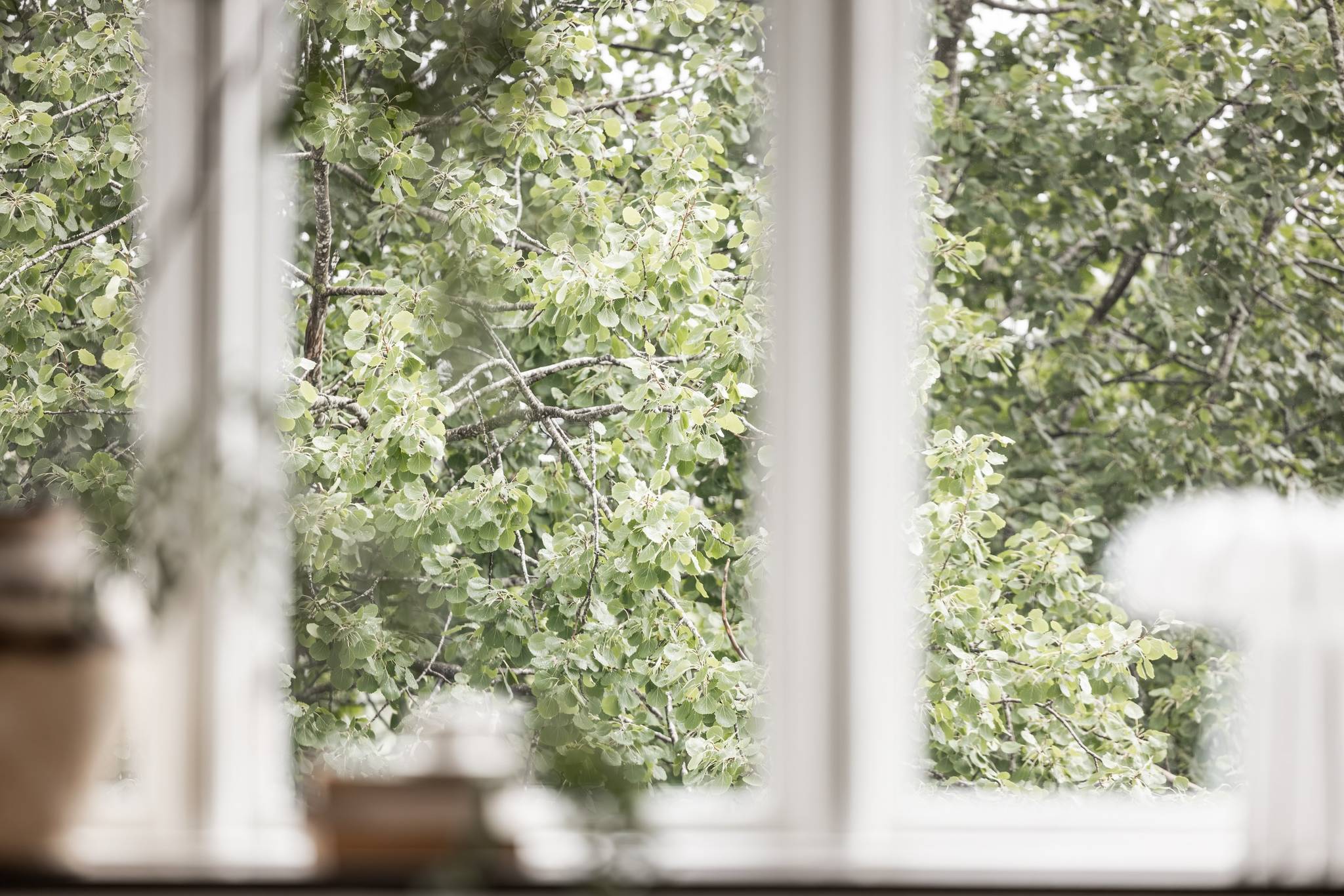 2 rum Lägenhet på Kolonigatan 7B Landala Egnahem Göteborgs kommun - bild 10