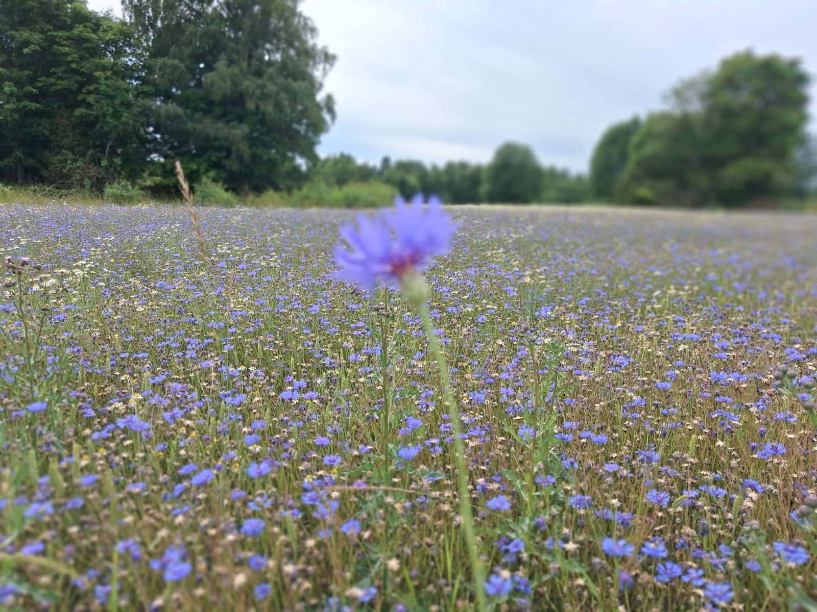 3 rum Vinterbonat fritidshus på Norrhenninge 5 Edsbro Norrtälje kommun - bild 44