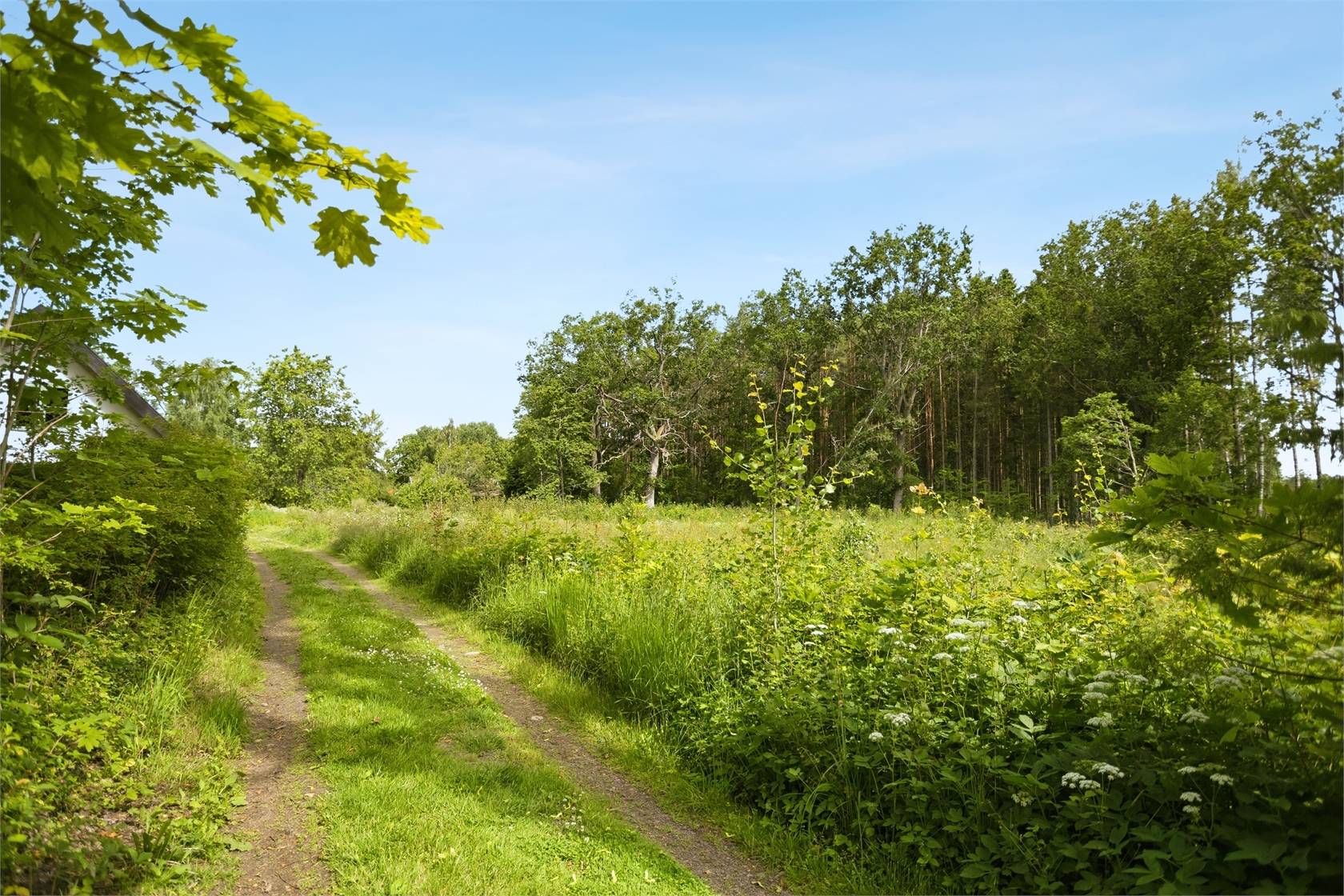 Tomt på Tåby Annsätter 2 Norrköpings kommun - bild 8