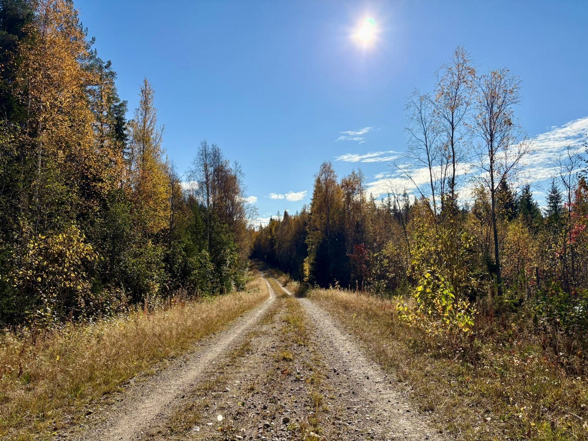 Gård/skog på Örträsk 2:38 Lycksele kommun - bild 6