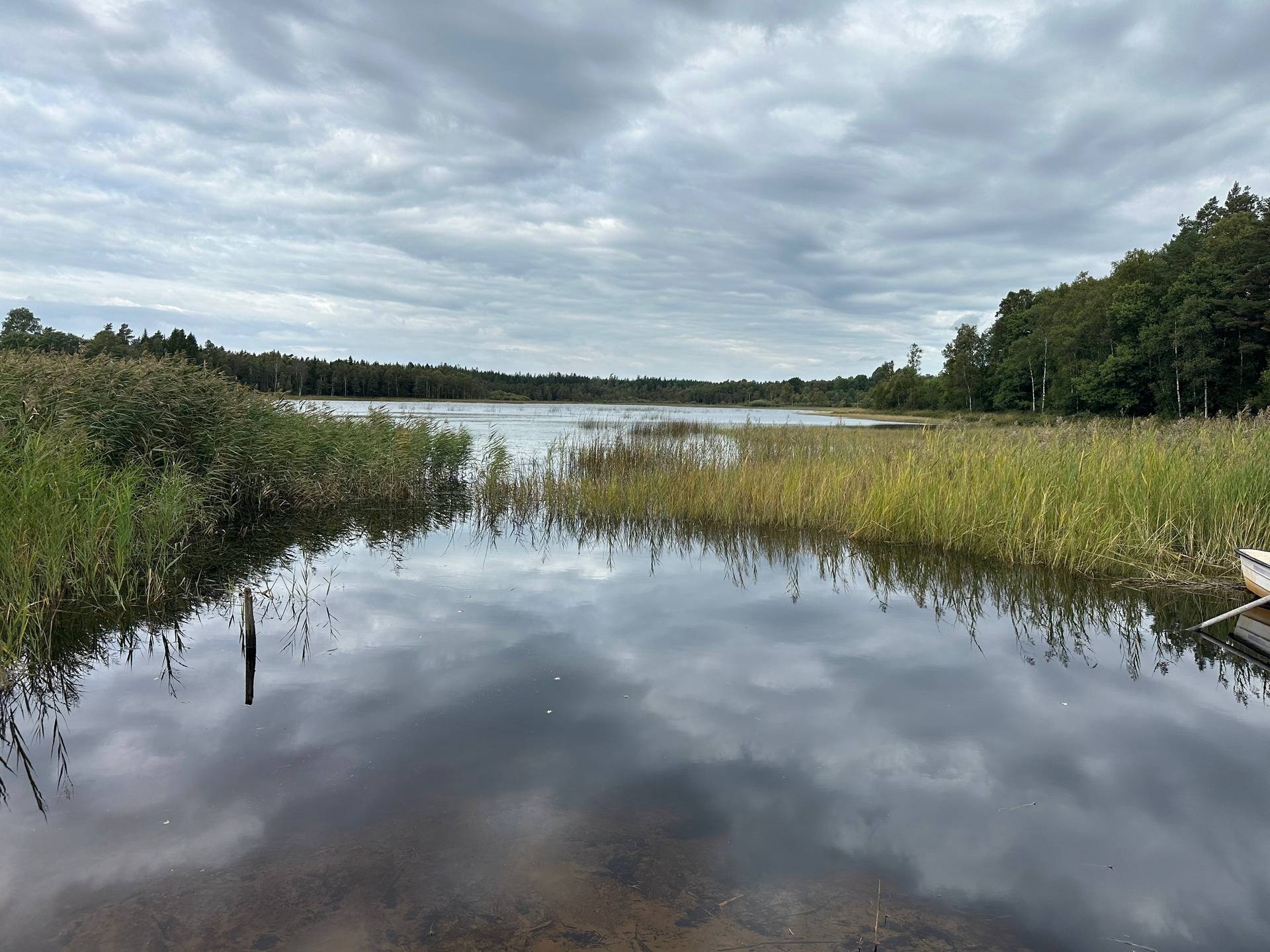 Gård med skogsbruk på MARK ANABÄCKSHULT 2:14 Anabäckshult Marks kommun - bild 35