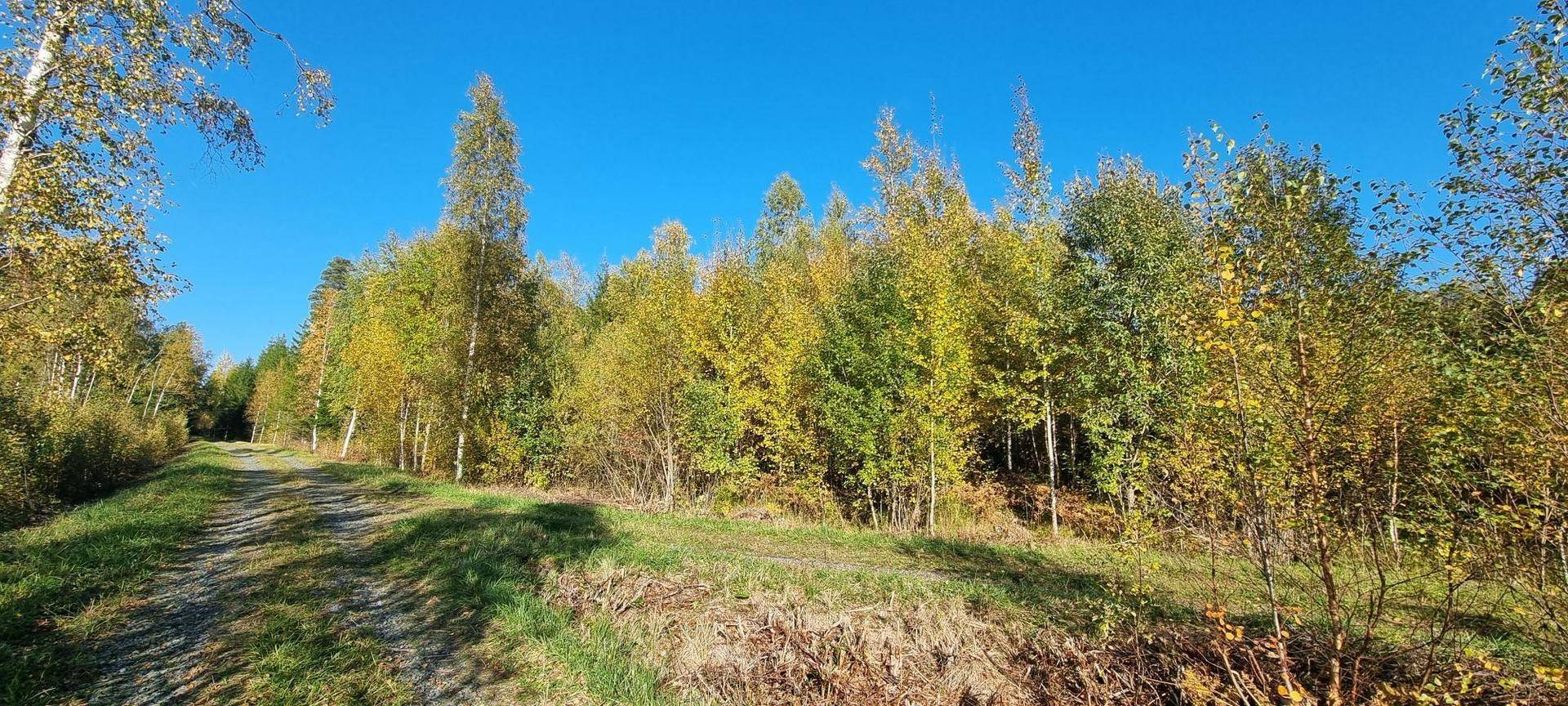 Gård/skog på Vamsta, intill naturreservatet Östhammars kommun - bild 25