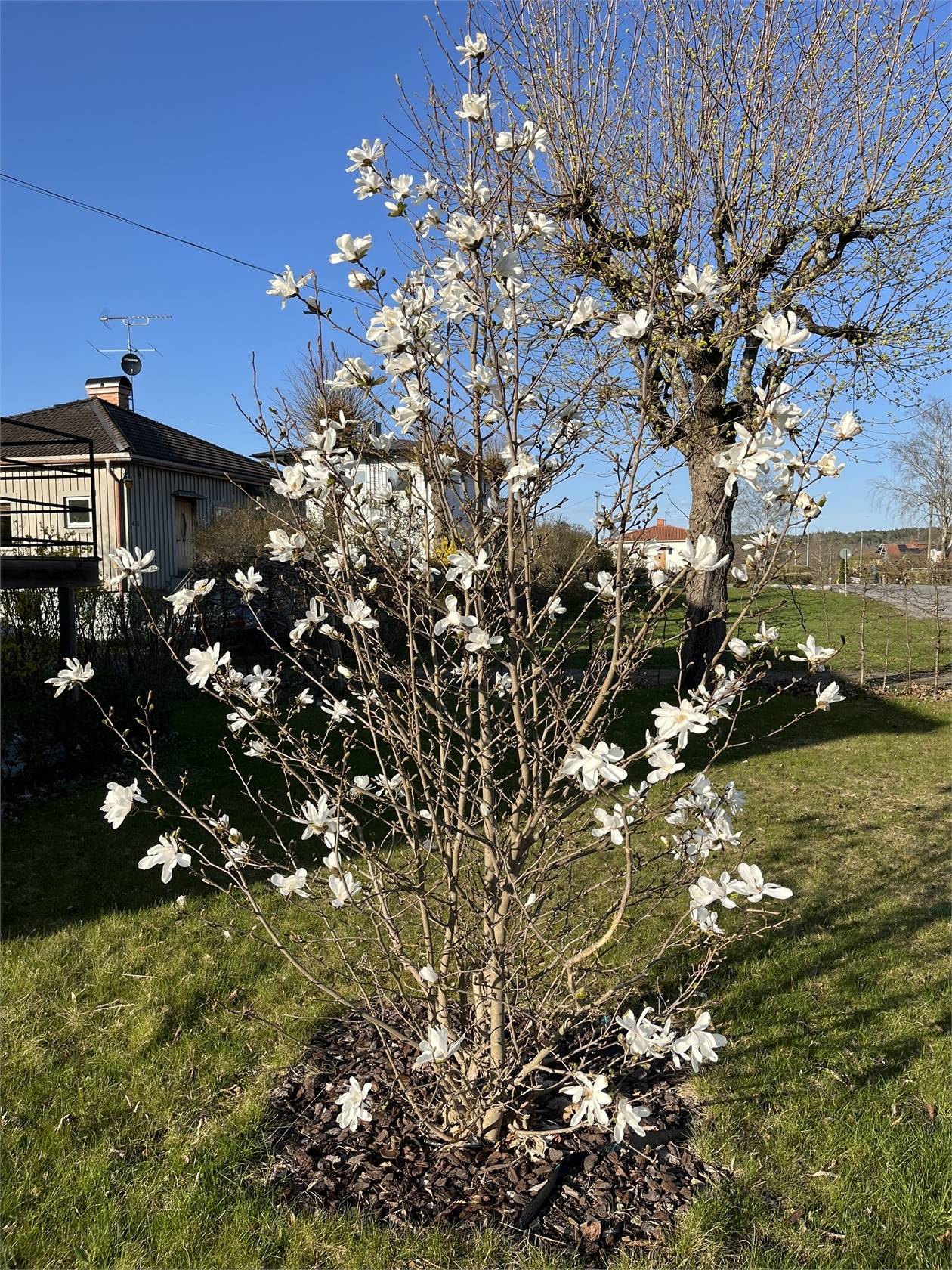6 rum Villa på Stråkvägen 43 Edsviken Sollentuna kommun - bild 63
