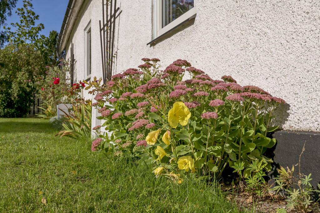 7 rum Villa på Västerhejde Toftavägen 186 Visby - Närområde Gotlands kommun - bild 46