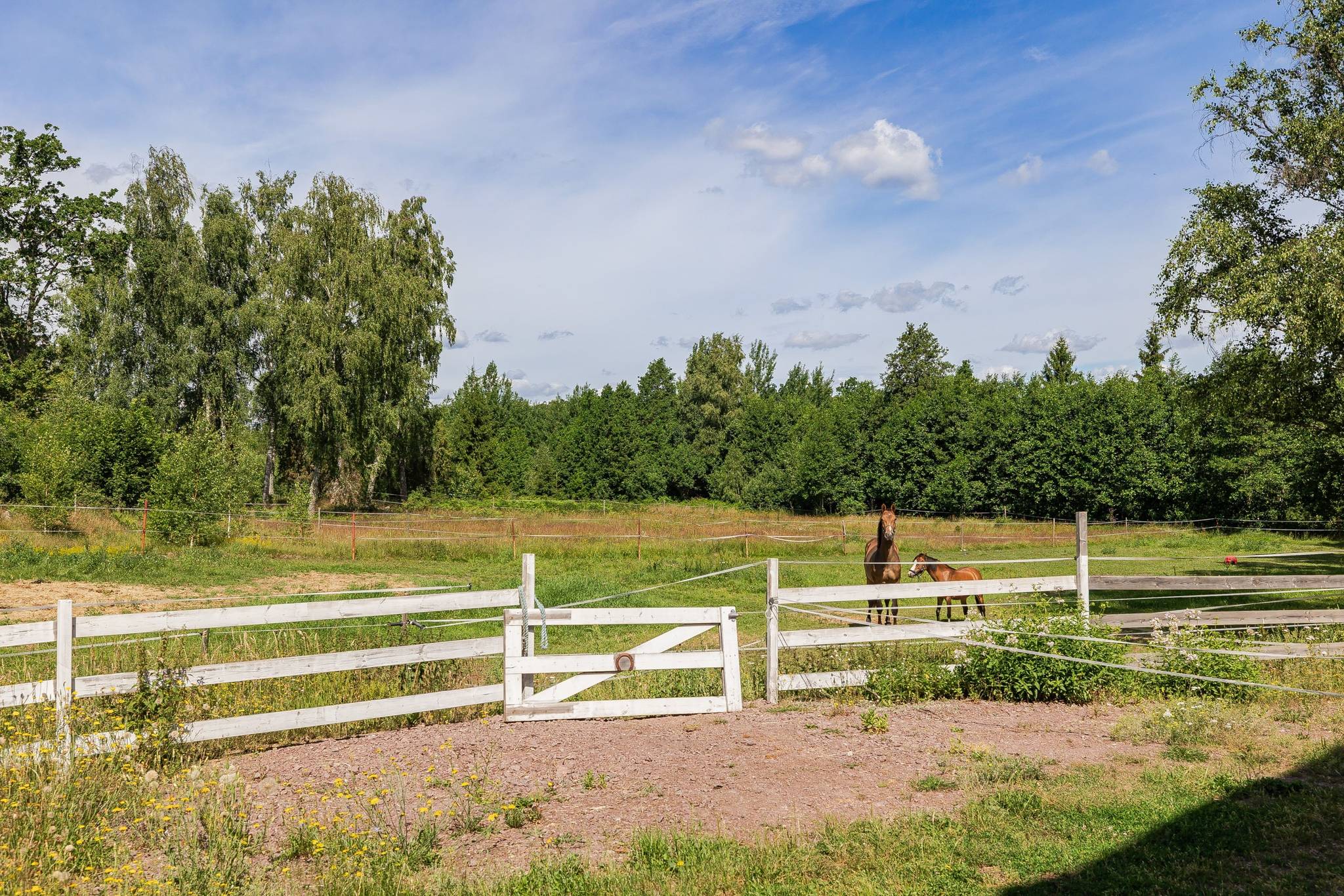 4 rum Gård/skog på Åslemåla 404 Ålem Mönsterås kommun - bild 26