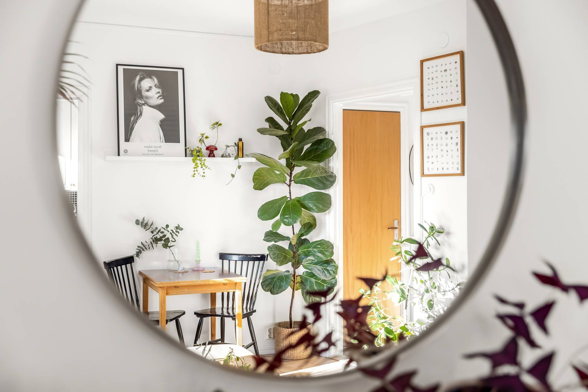 1 rum Lägenhet på Paternostervägen 28 Hammarbyhöjden, Johanneshov Stockholms kommun - bild 9