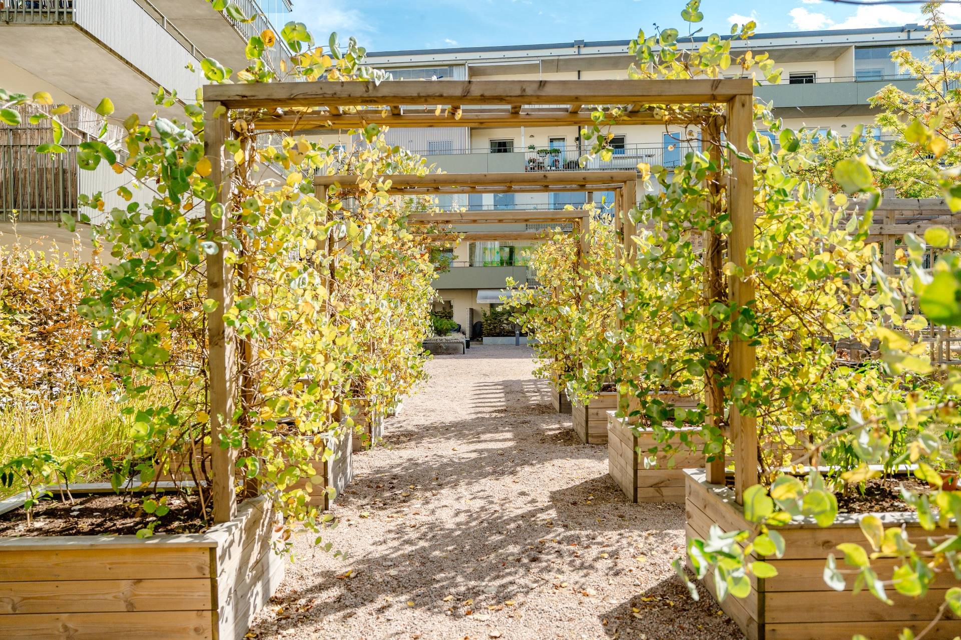1 rum Lägenhet på Portalgatan 52 Kapellgärdet Uppsala kommun - bild 23