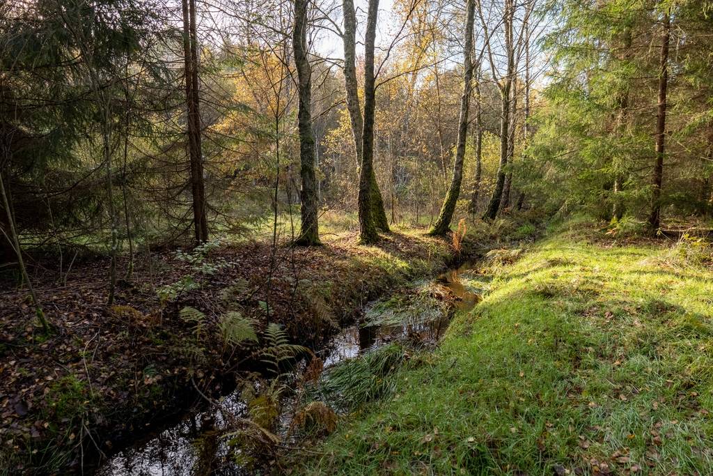 4 rum Gård med skogsbruk på Länghult 609 Dagstorp Höörs kommun - bild 5