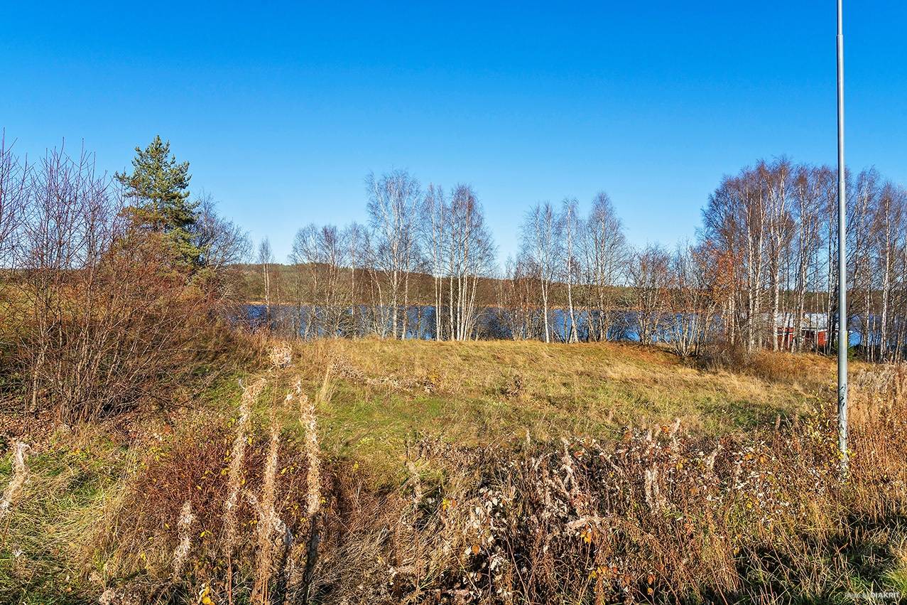 Gård med skogsbruk Älvdalens kommun - bild 12