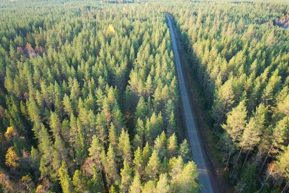 Vindelns kommun