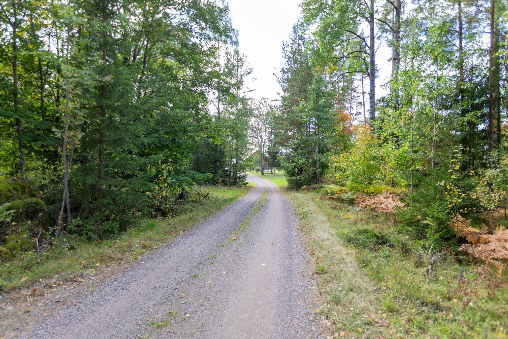 7 rum Gård/skog på Åby 622 Tärnsjö Heby kommun - bild 48