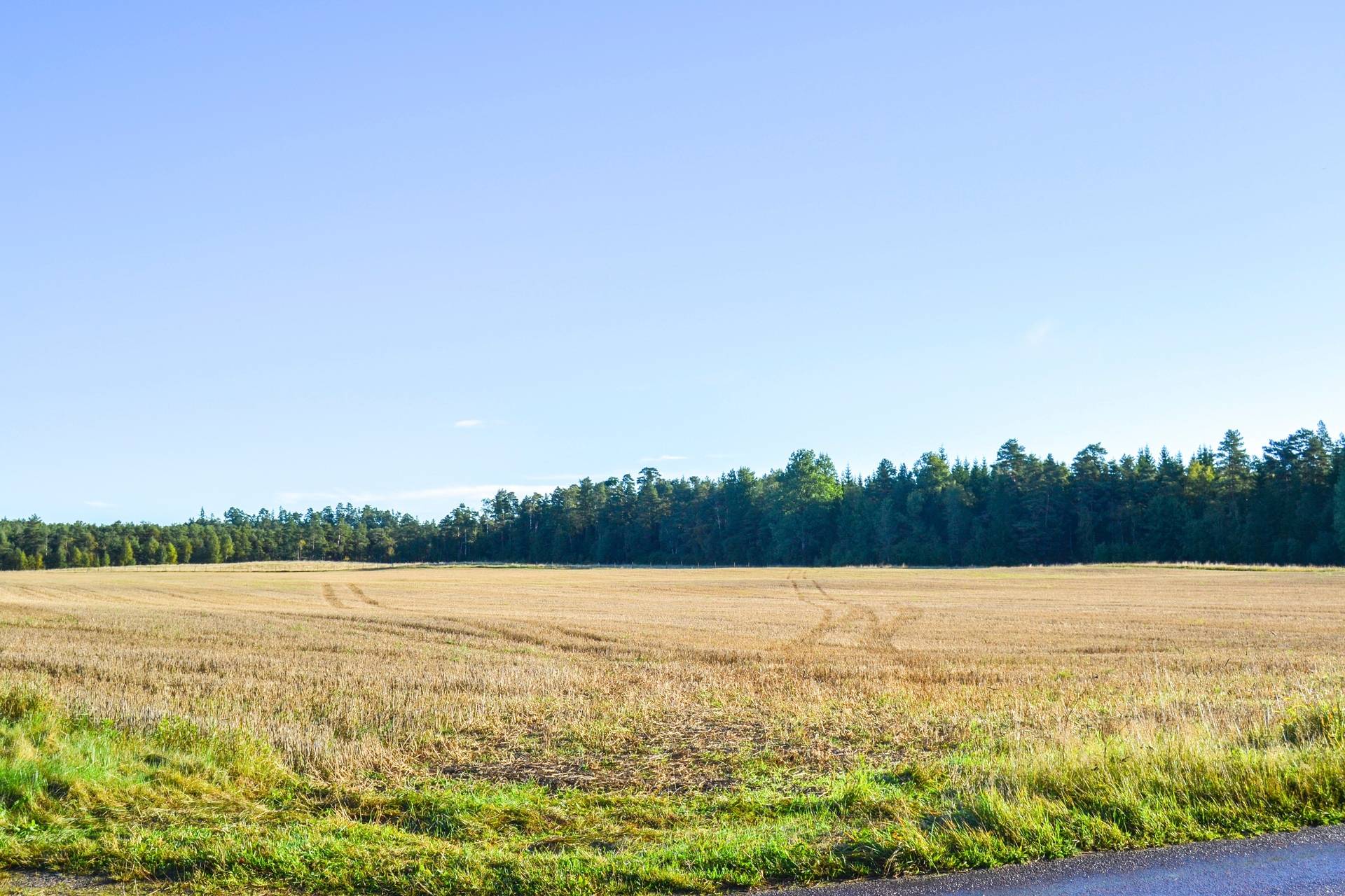 Gård/skog på Gassljunga Norrgård Långaryd Hylte kommun - bild 6
