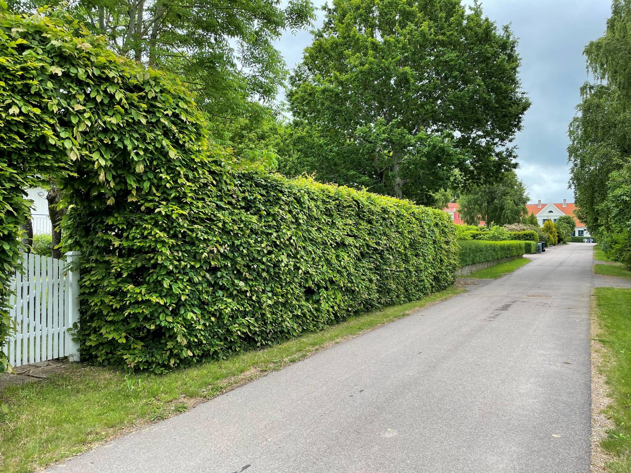 5 rum Fritidshus på Skepparens väg 3 Björkhagen Ängelholms kommun - bild 21