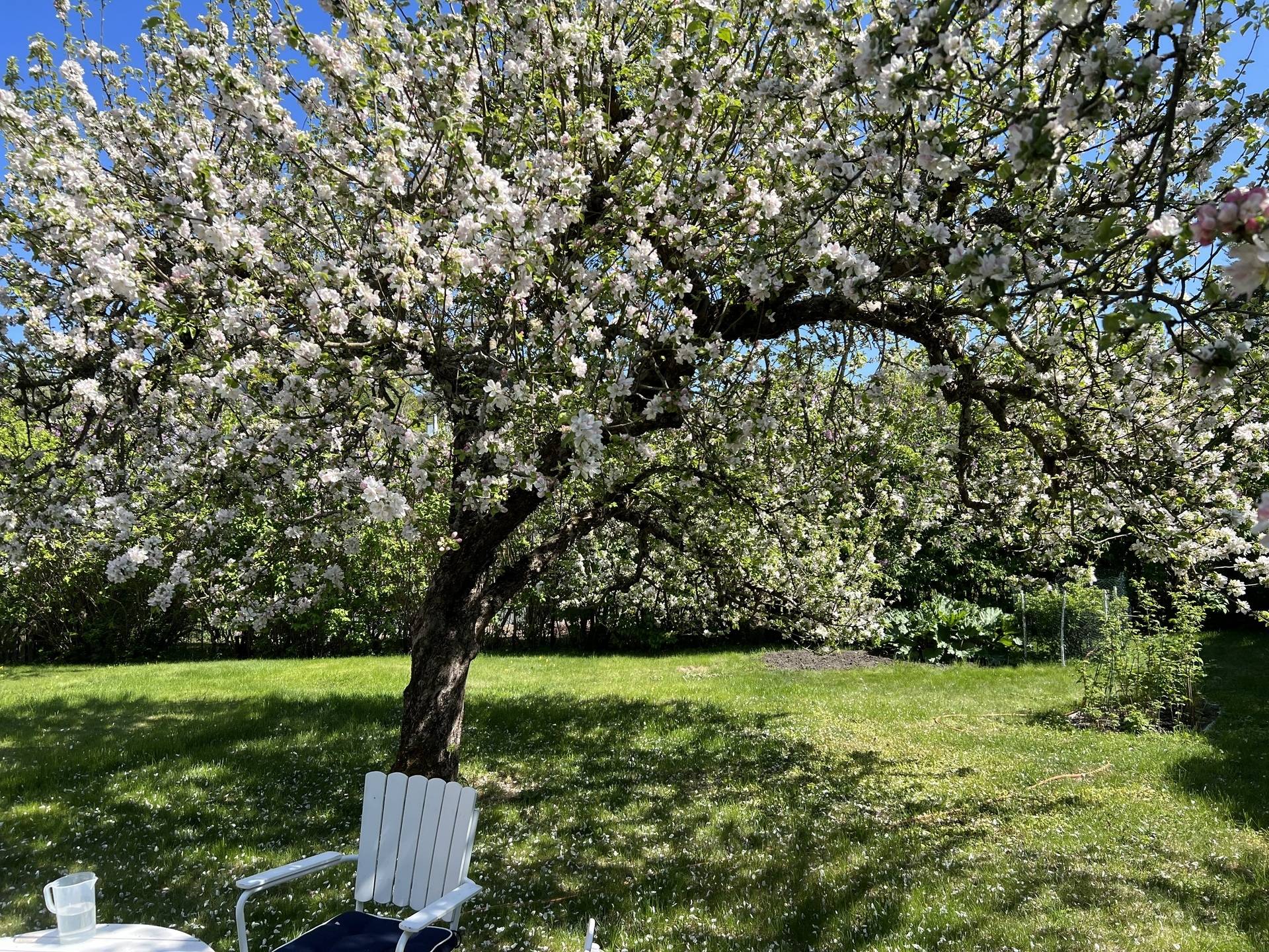 9 rum Villa på Södra Kungsvägen 144 Kappsta Lidingö kommun - bild 74